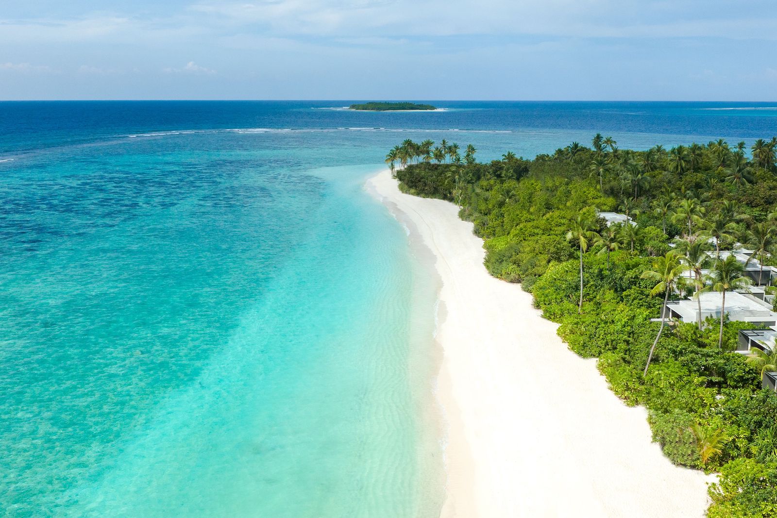 aerial photo of longe stretch of beach with lush green trees