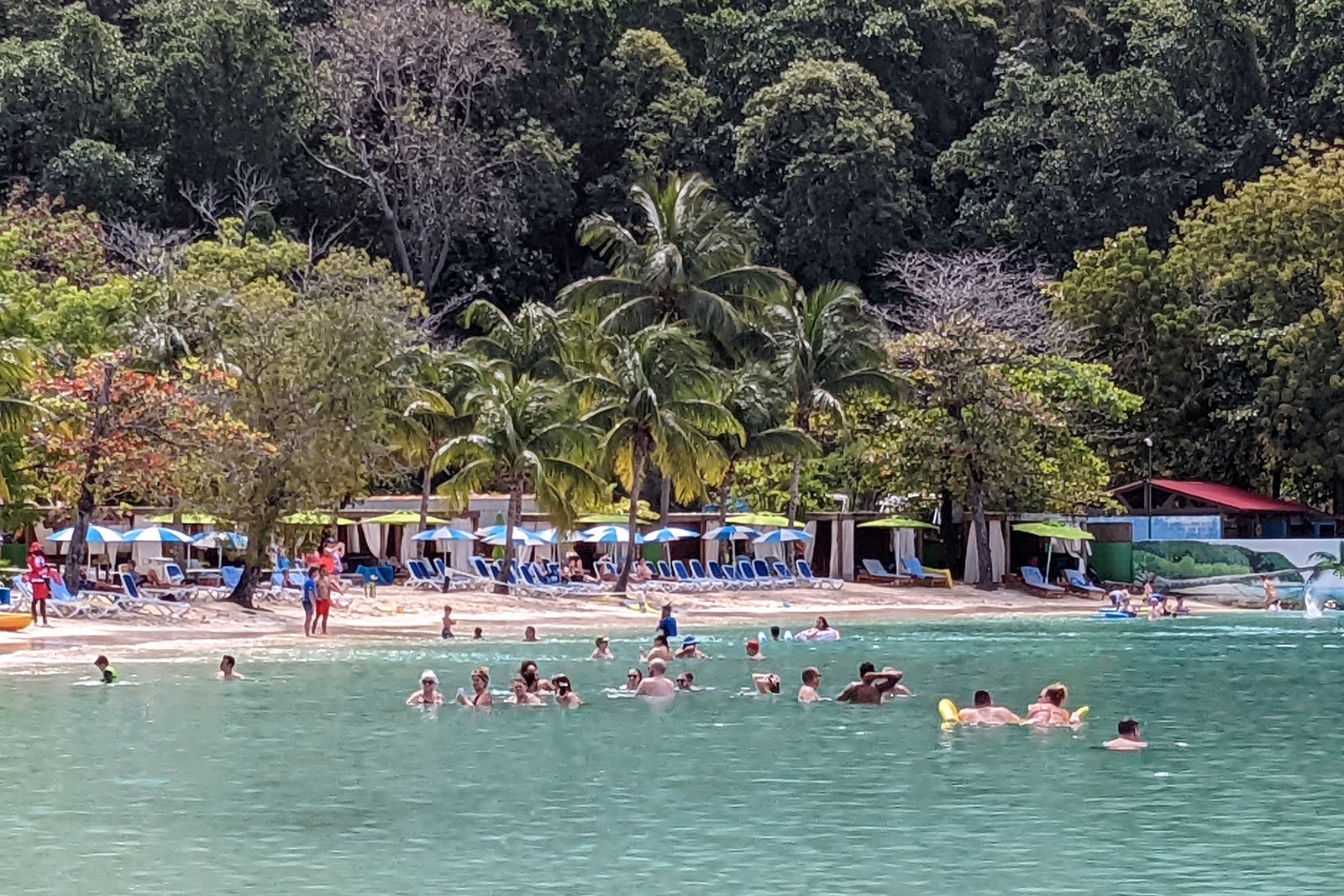 Swimmers in water at Labadee's Columbus Cove beach with lush greenery in the background