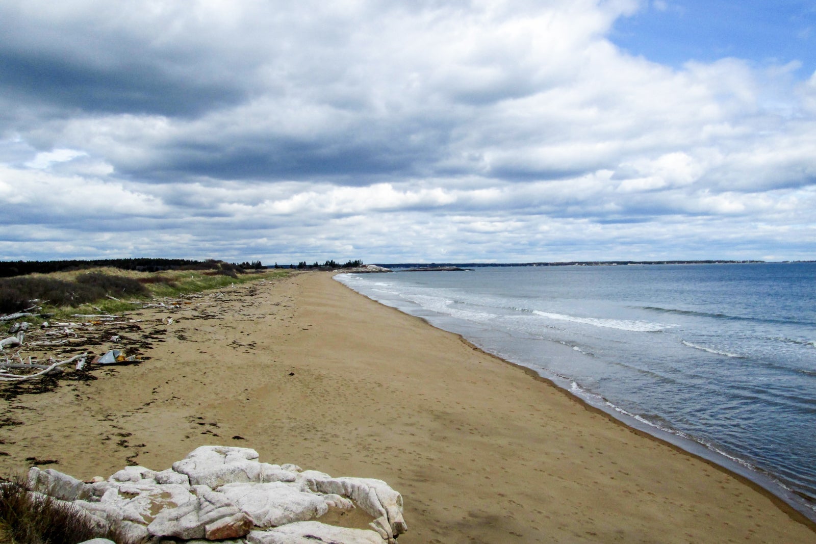 Acadia National Park beach