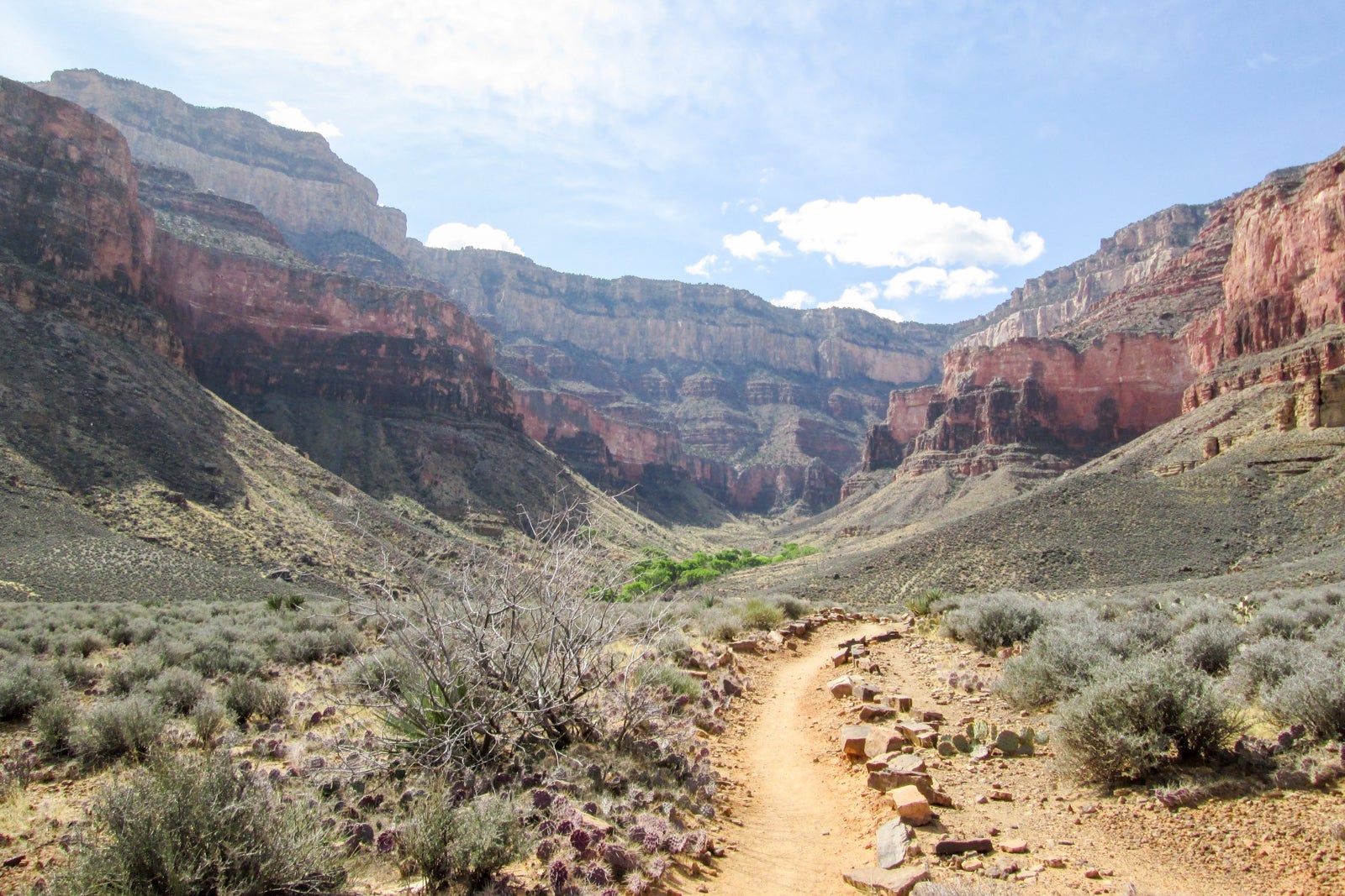View toward rim from Plateau Point