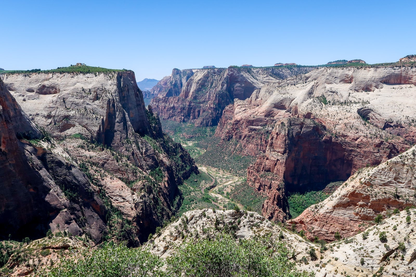 View from Observation Point in Zion