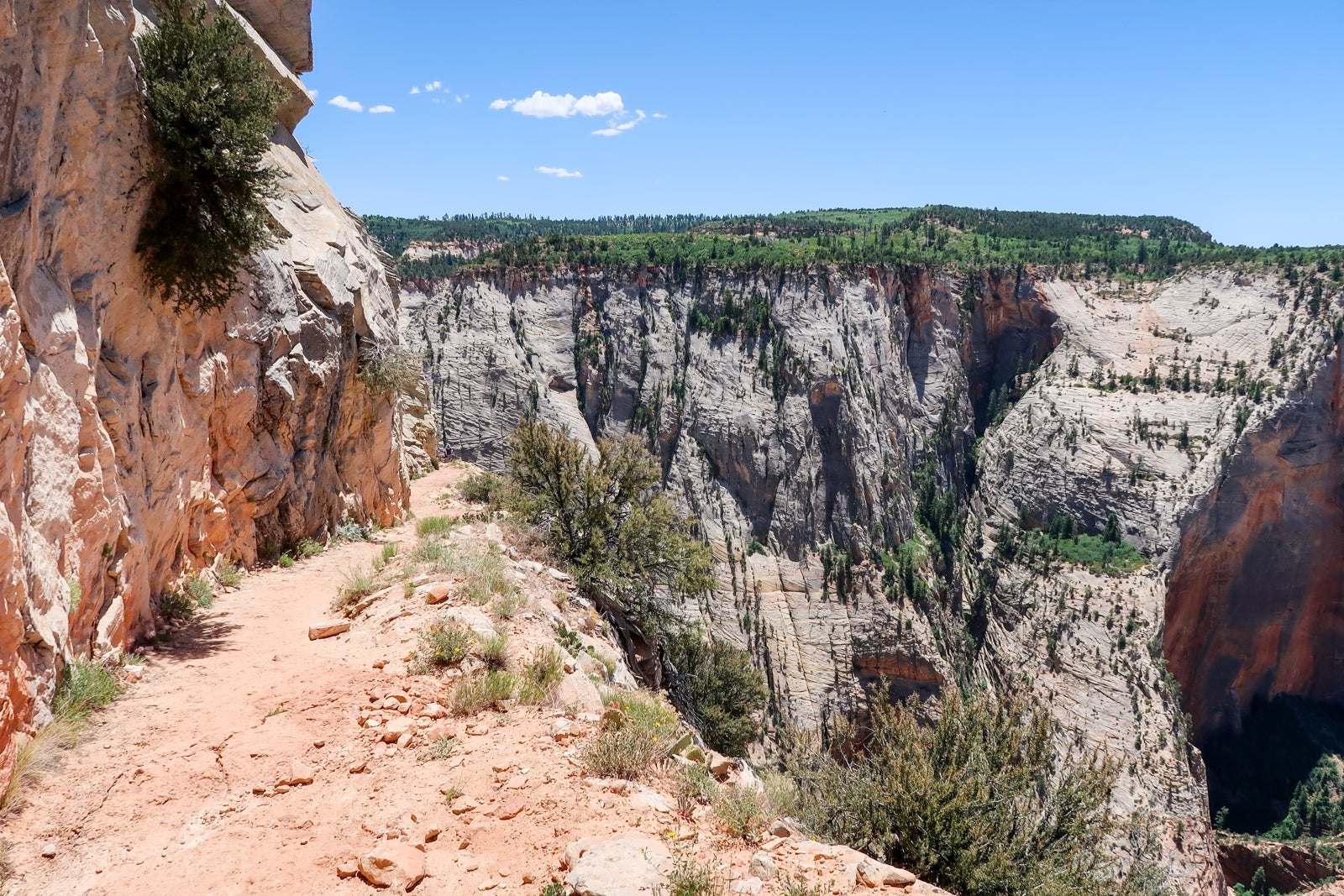 Observation Point hike in Zion.