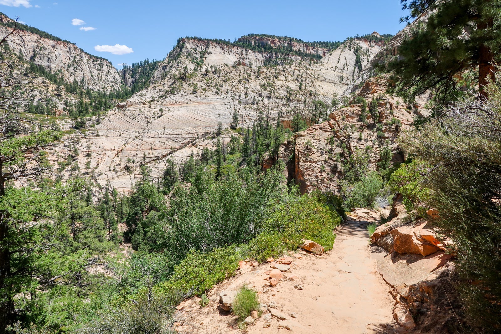 Observation Point hike in Zion