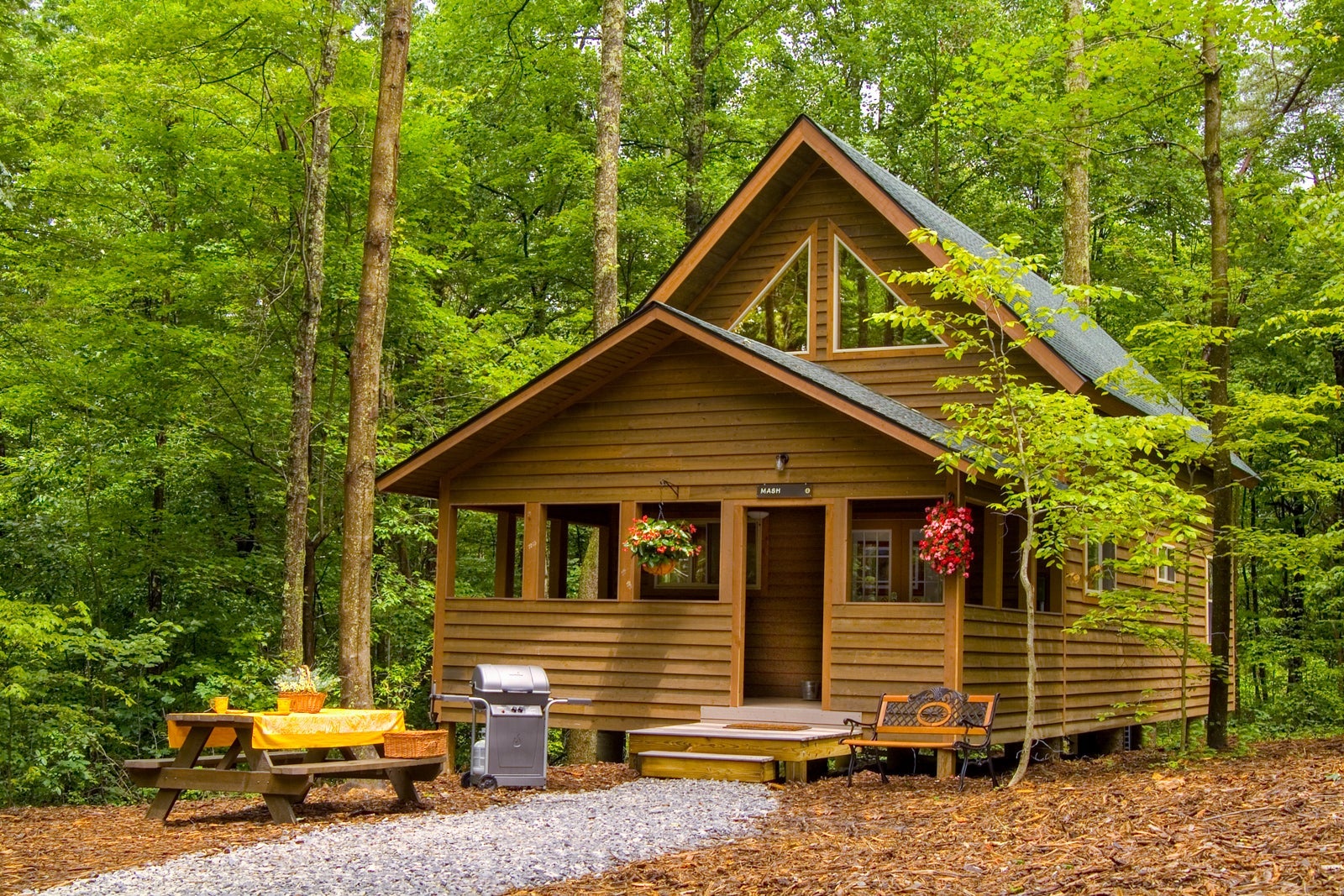 Cabin in the woods New River Gorge National Park