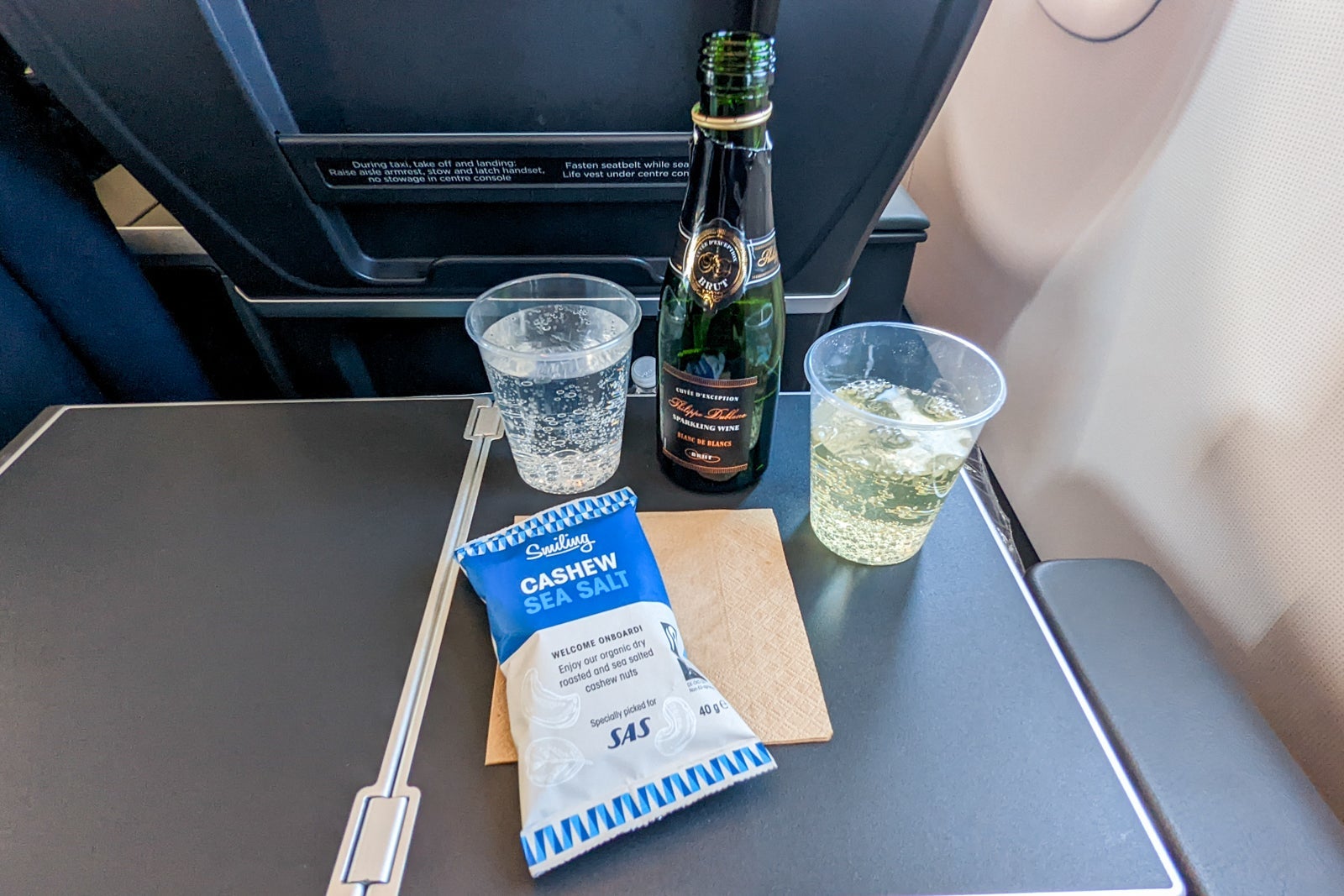 Flying premium economy on Scandinavian Airlines' new A321LR from