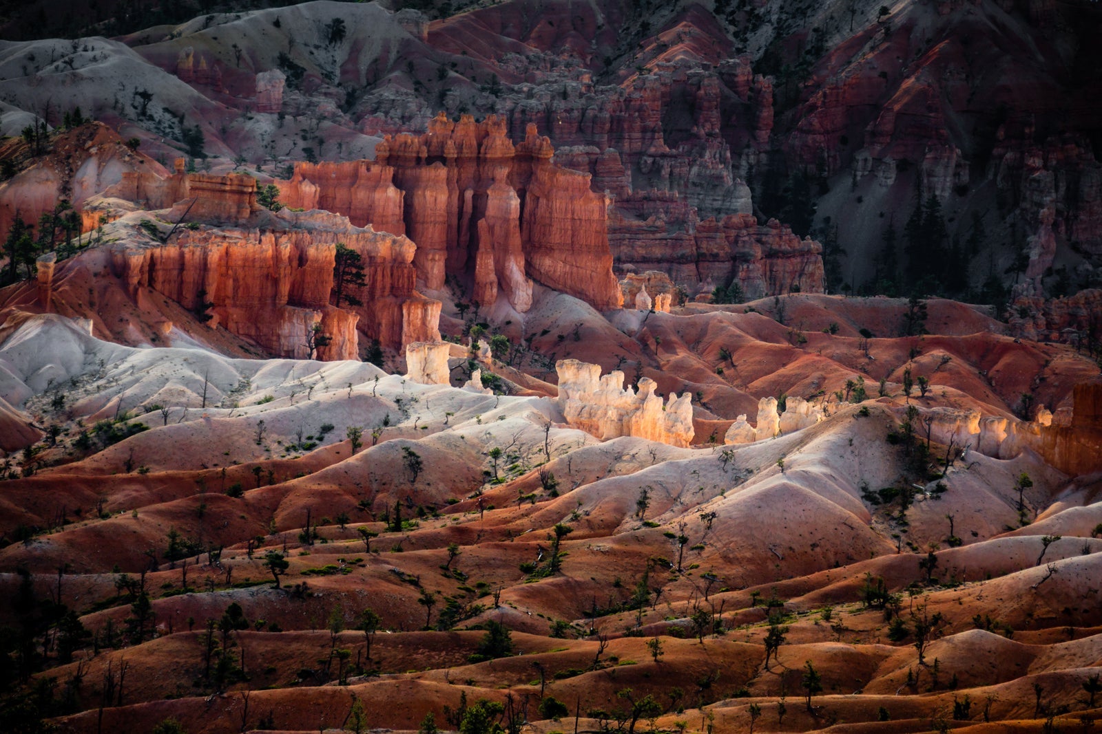 Queens Garden trail in Bryce Canyon National Park