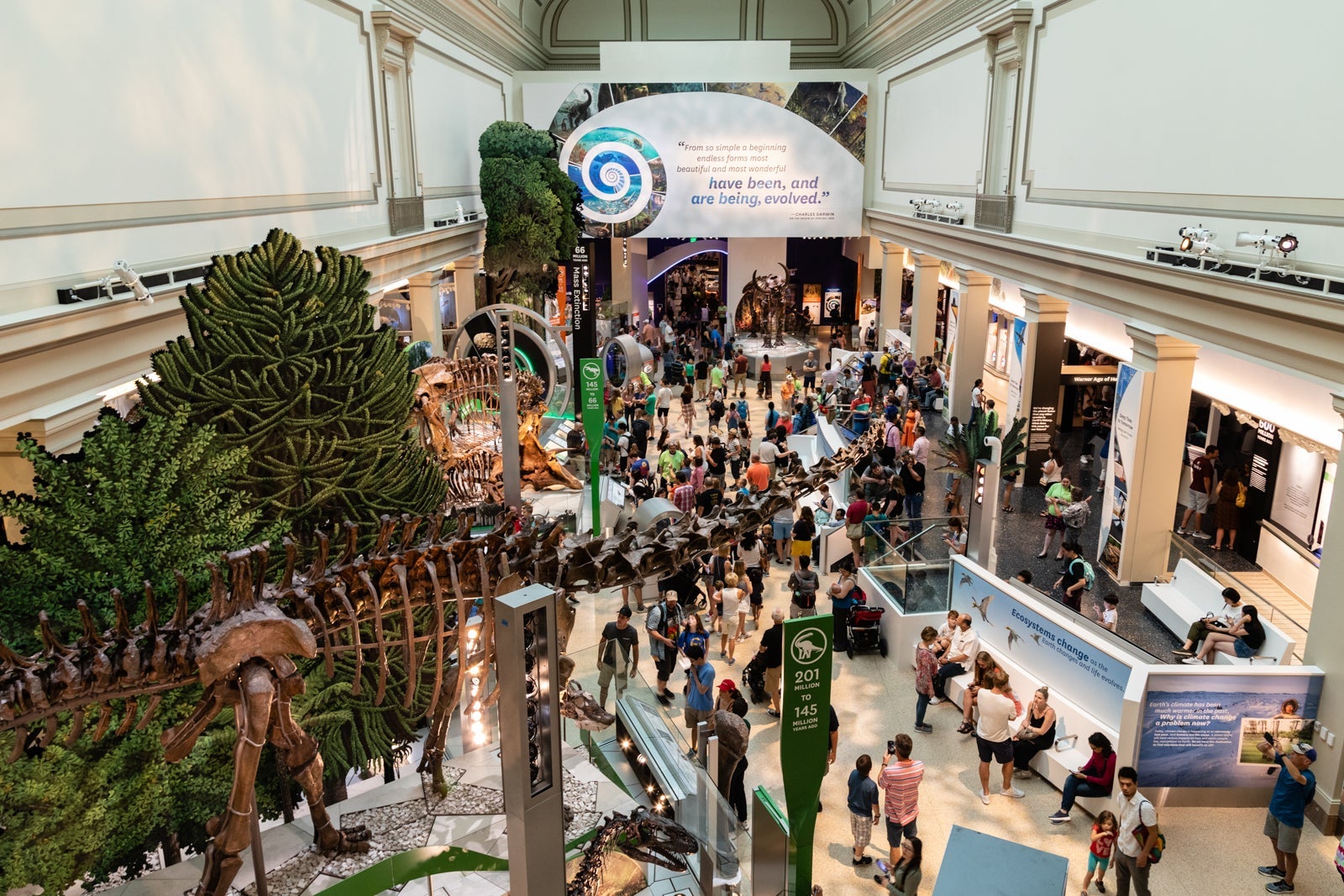 Visitors attend the Grand Opening of The David H. Koch Hall of Fossils – Deep Time. The David H. Koch Hall of Fossils – Deep Time Grand Opening at the Smithsonian Institution National Museum of Natural History on Saturday, June 8, 2019. The exhibition tells the story of 3.7 billion years of life on Earth, highlighting the connections among ecosystems, climate, geological forces and evolution and encouraging visitors to understand that the choices they make today will have an impact on the future.