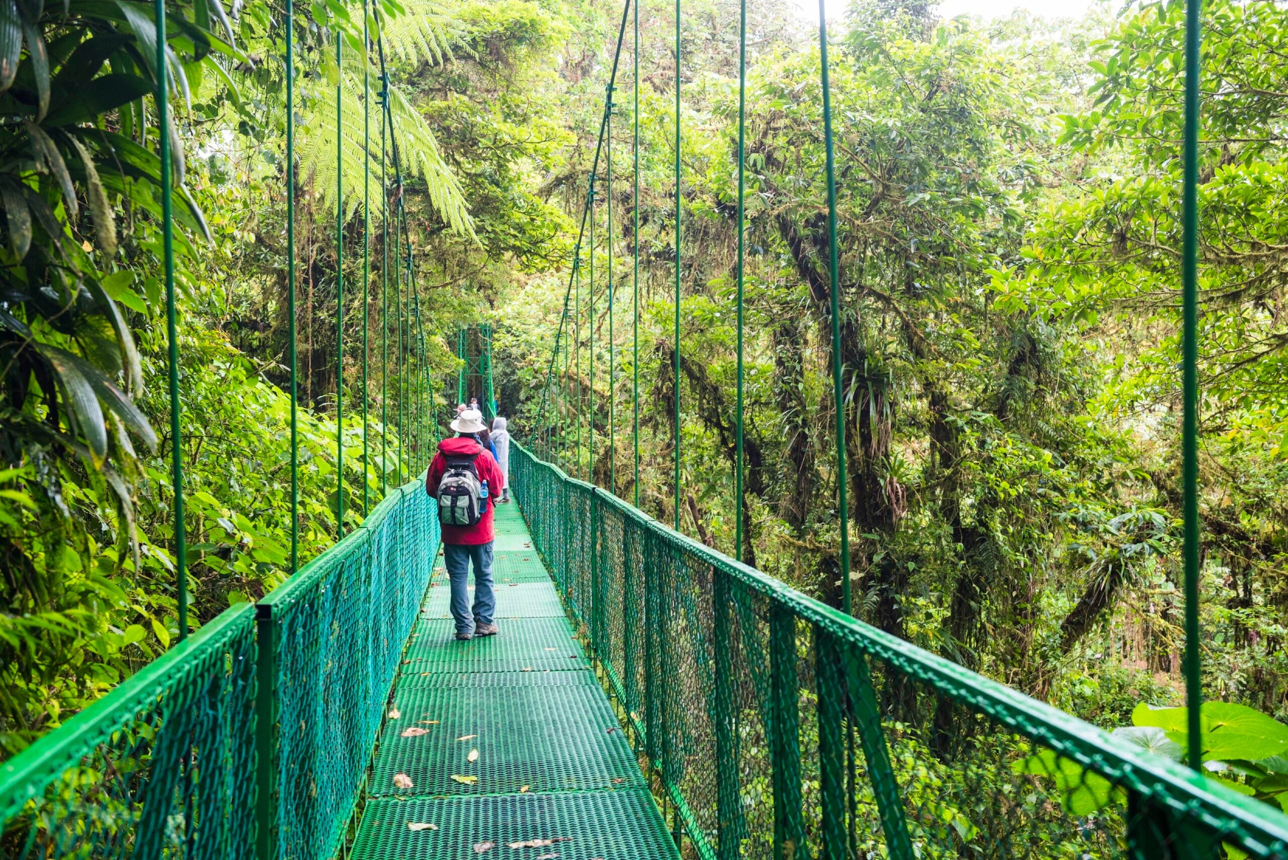 The Selvatura Treetop hanging bridges, Monteverde Cloud Forest Reserve, Puntarenas, Costa Rica, Central America. (Photo by: Matthew Williams-Ellis/Universal Images Group via Getty Images)