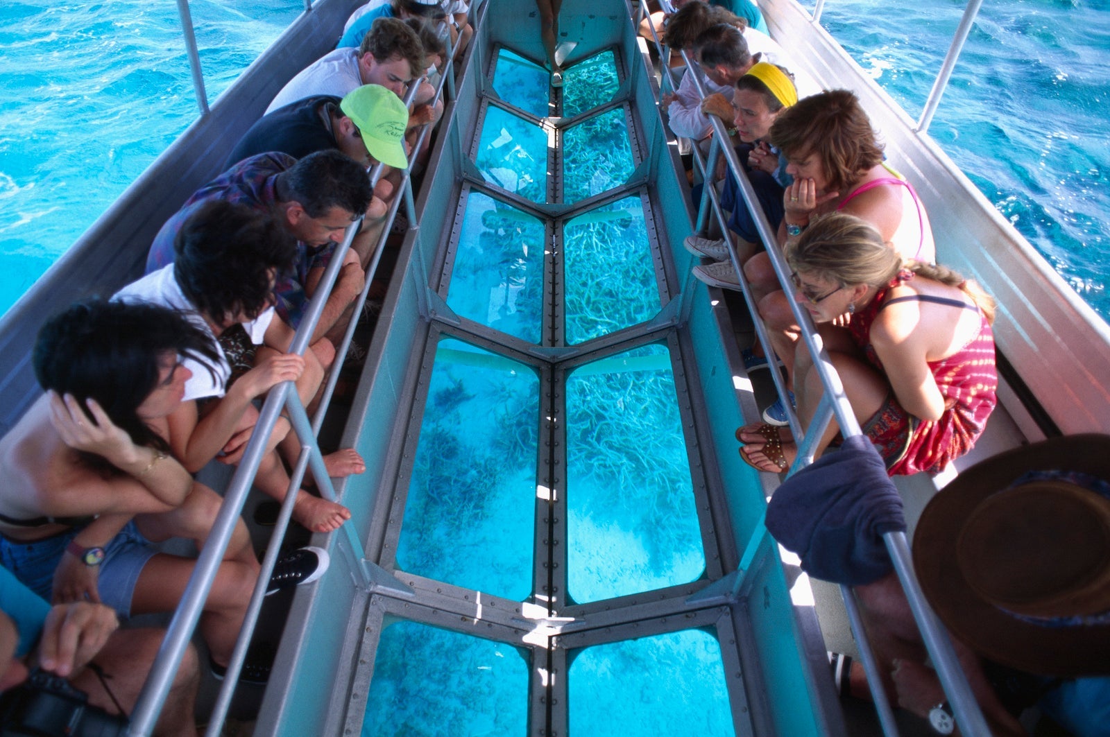 People looking through windows on glass-bottom boat