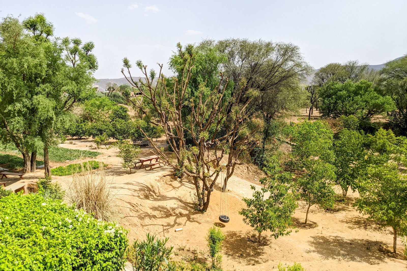 Alila Fort Bishangarh garden