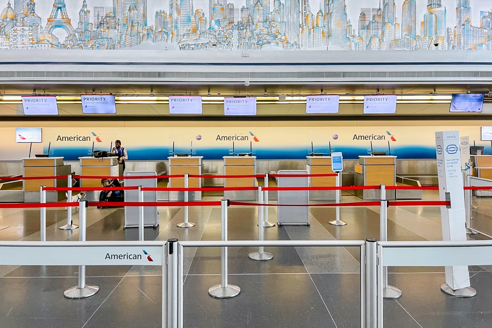 American Airlines Priority Check-in