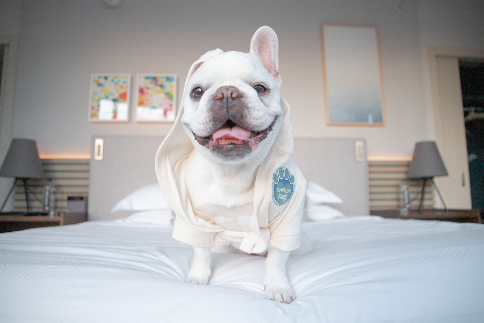 Kimpton Wag