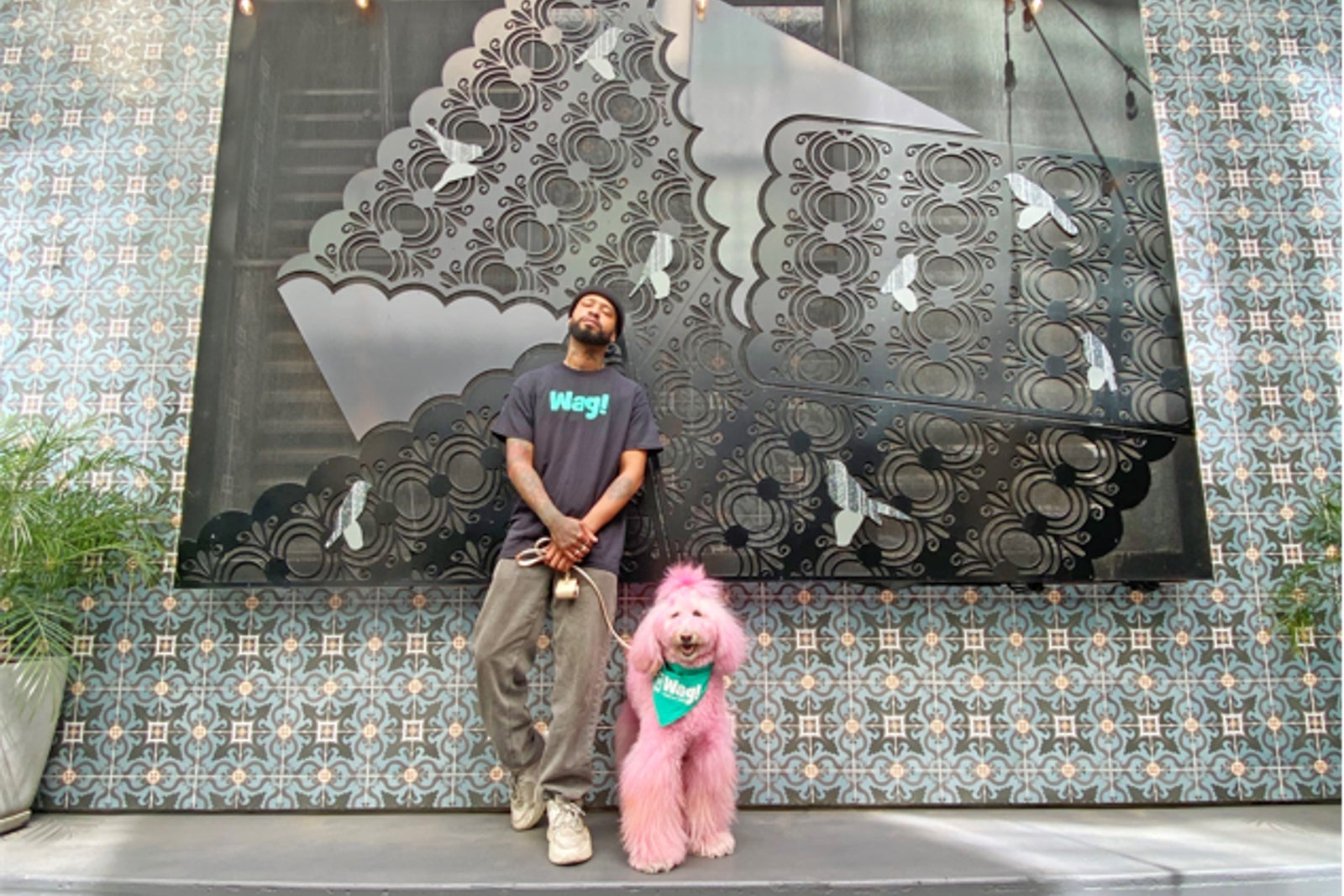 Kimpton guest and pet enjoy Kimpton Wag