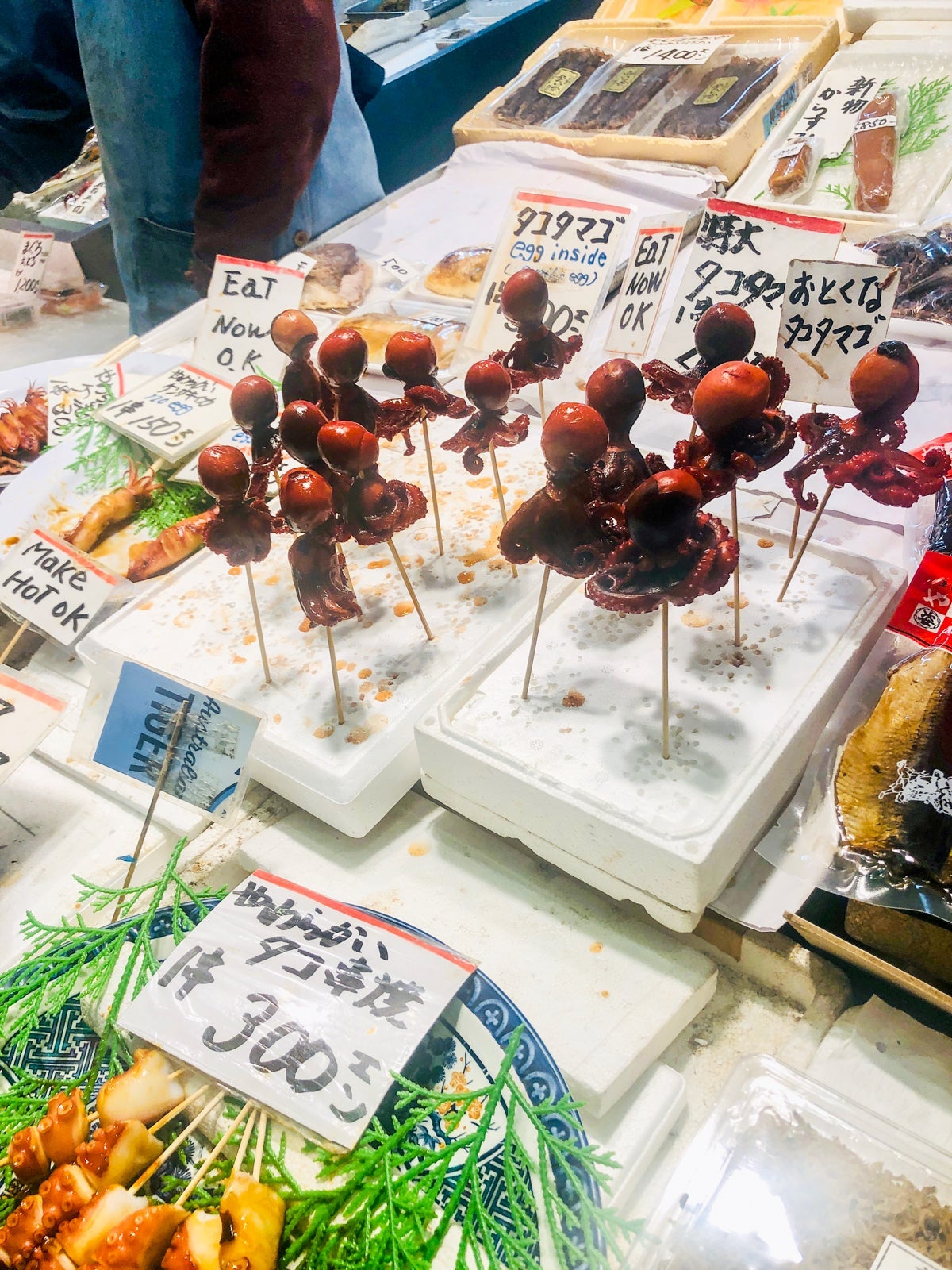 octopus in Kyoto