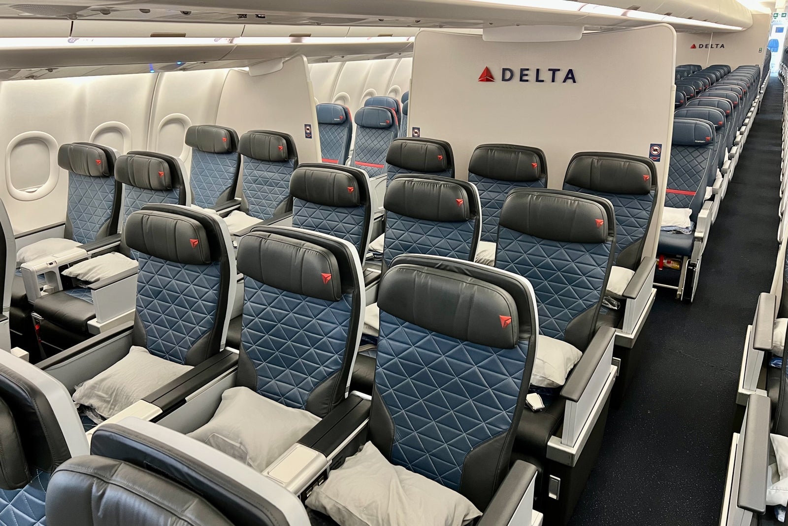 Delta premium economy
