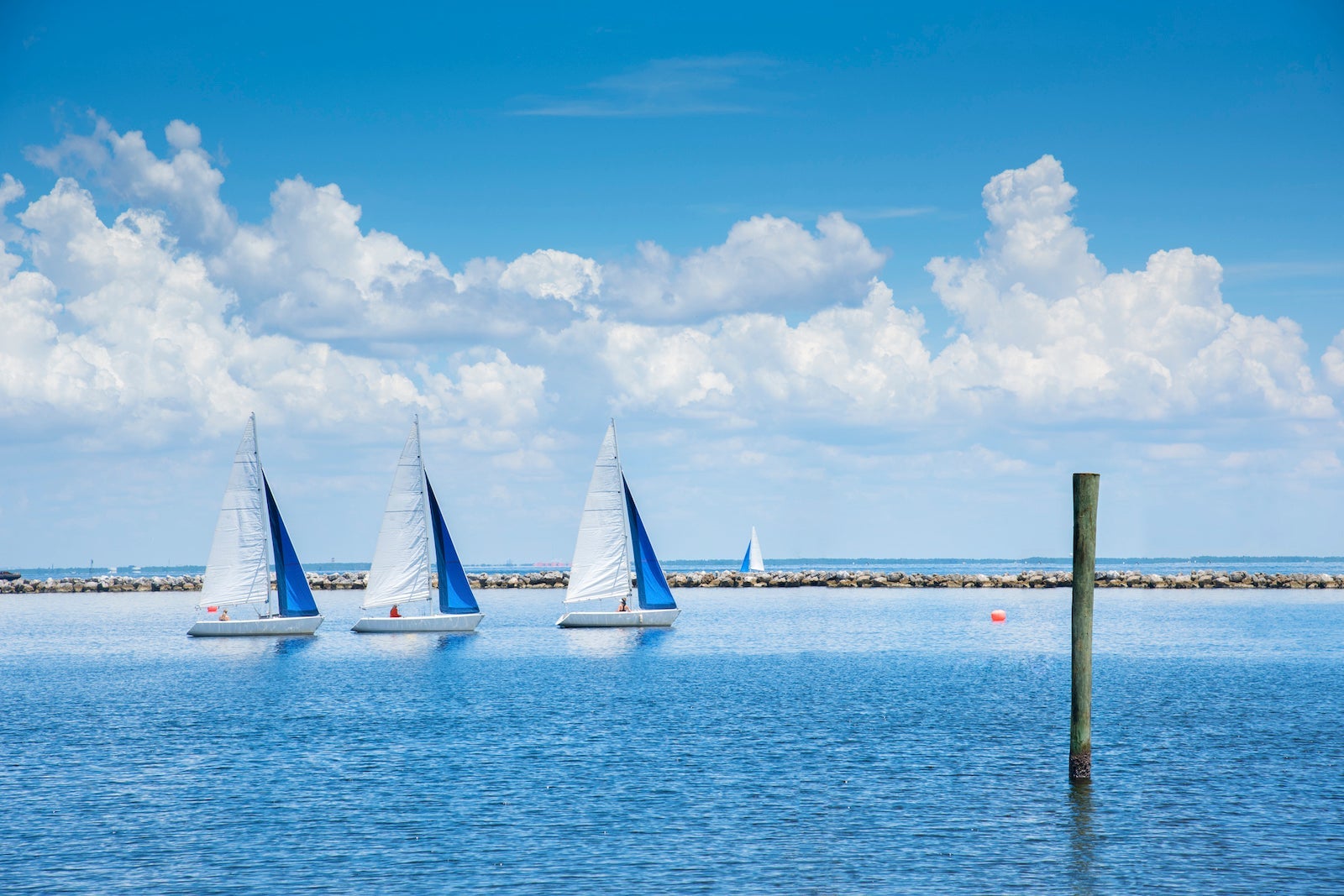 sailboats Florida