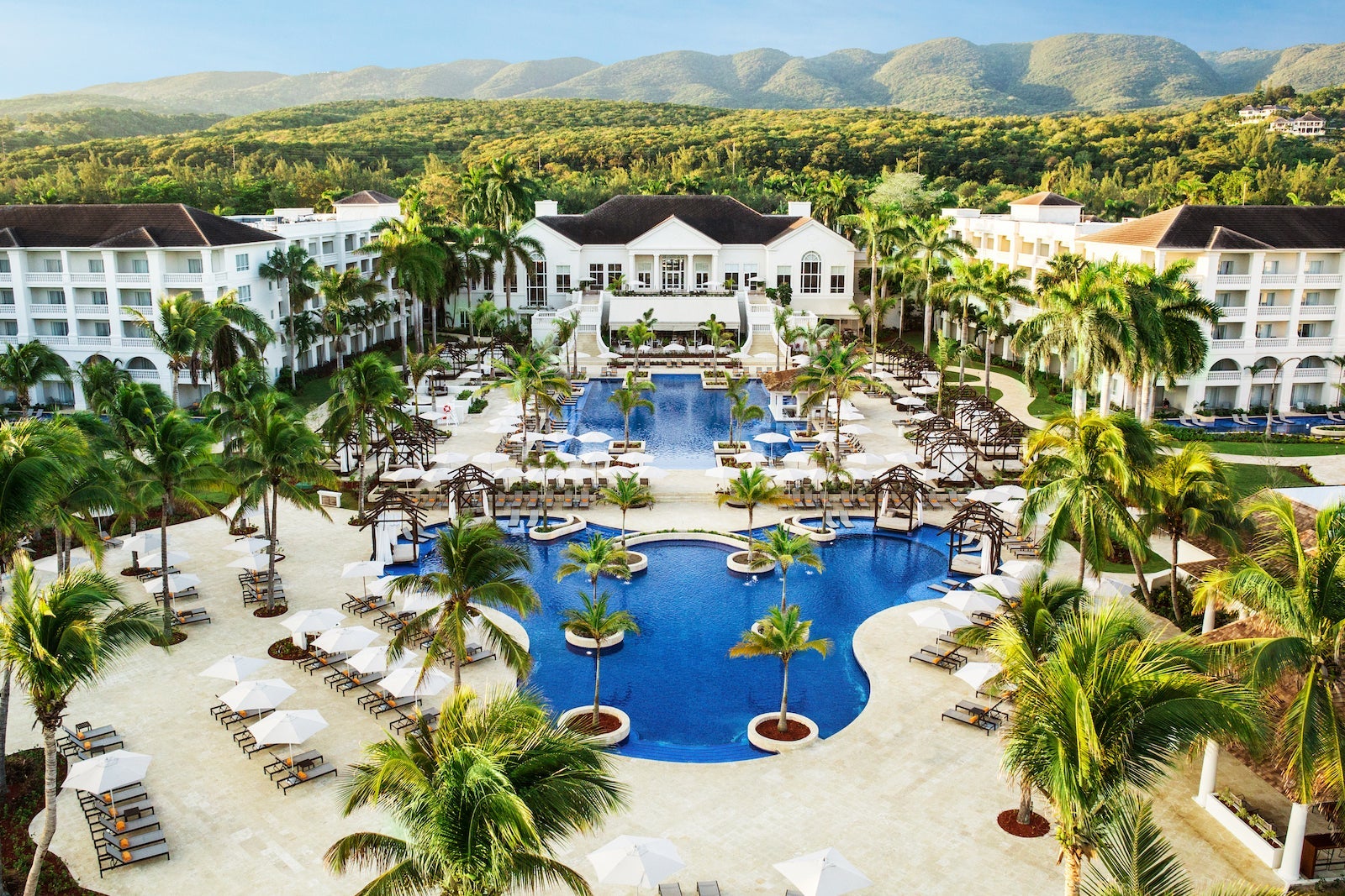 aerial view of pool and palm trees at the Hyatt Zilara Rose Hall in Jamaica
