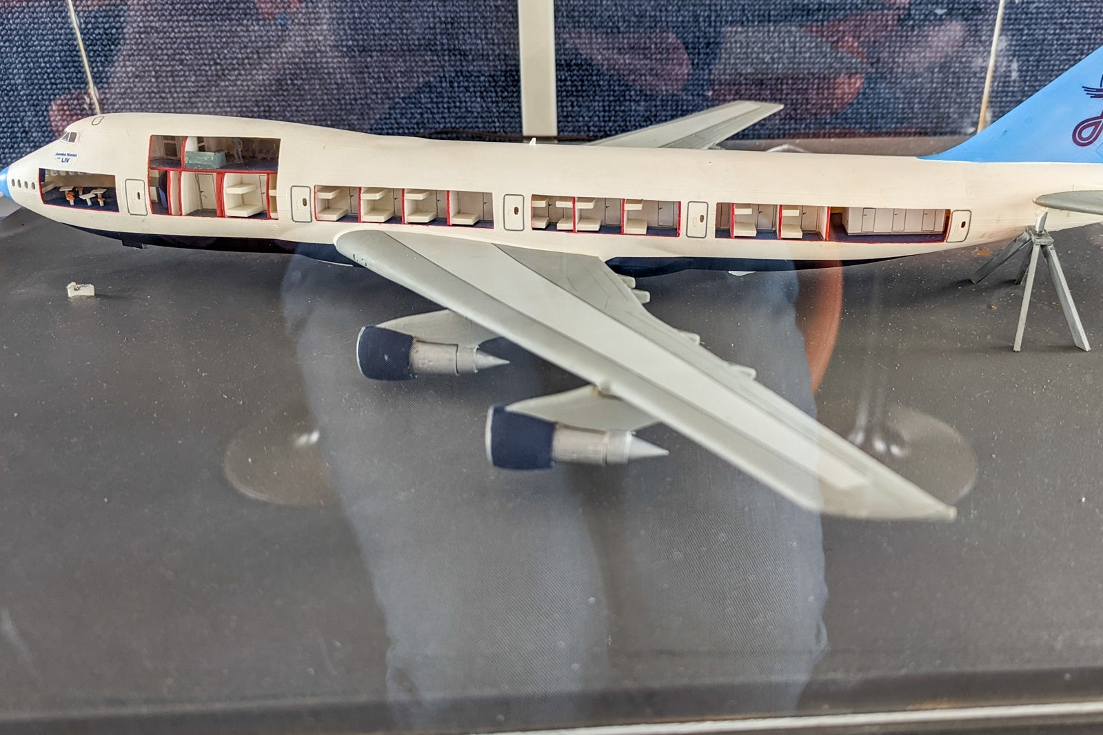 inside jumbo jet hotel