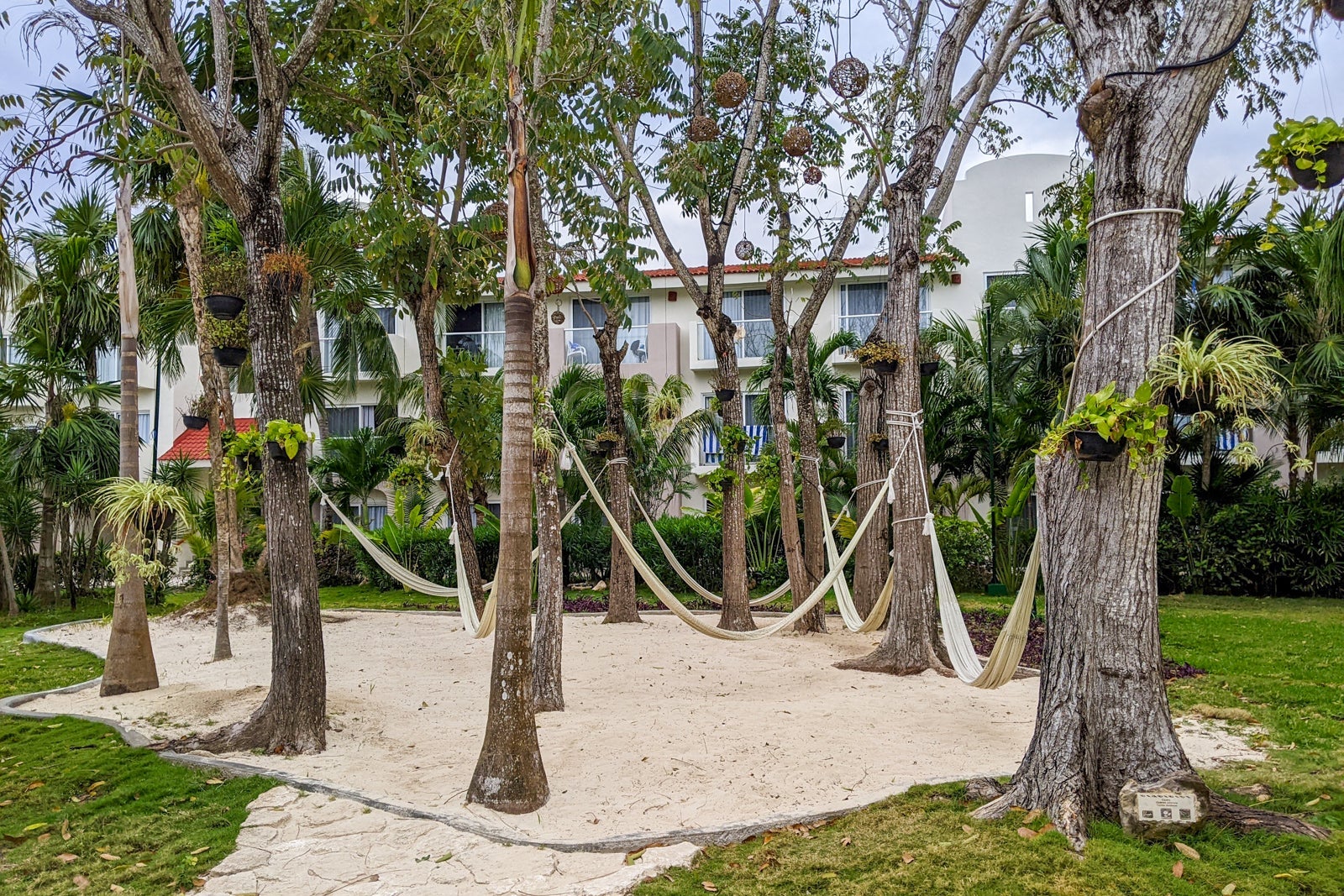 Hammocks by the pool