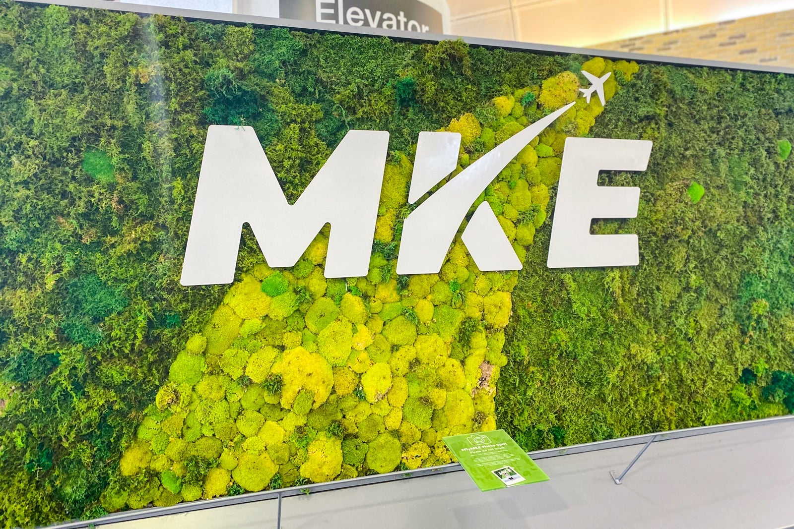 moss wall