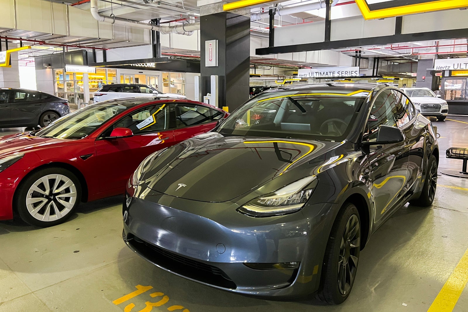 Tesla rentals