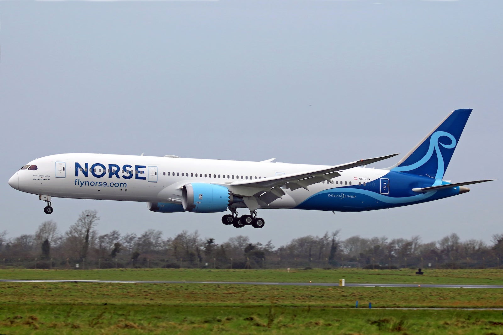 Norse plane