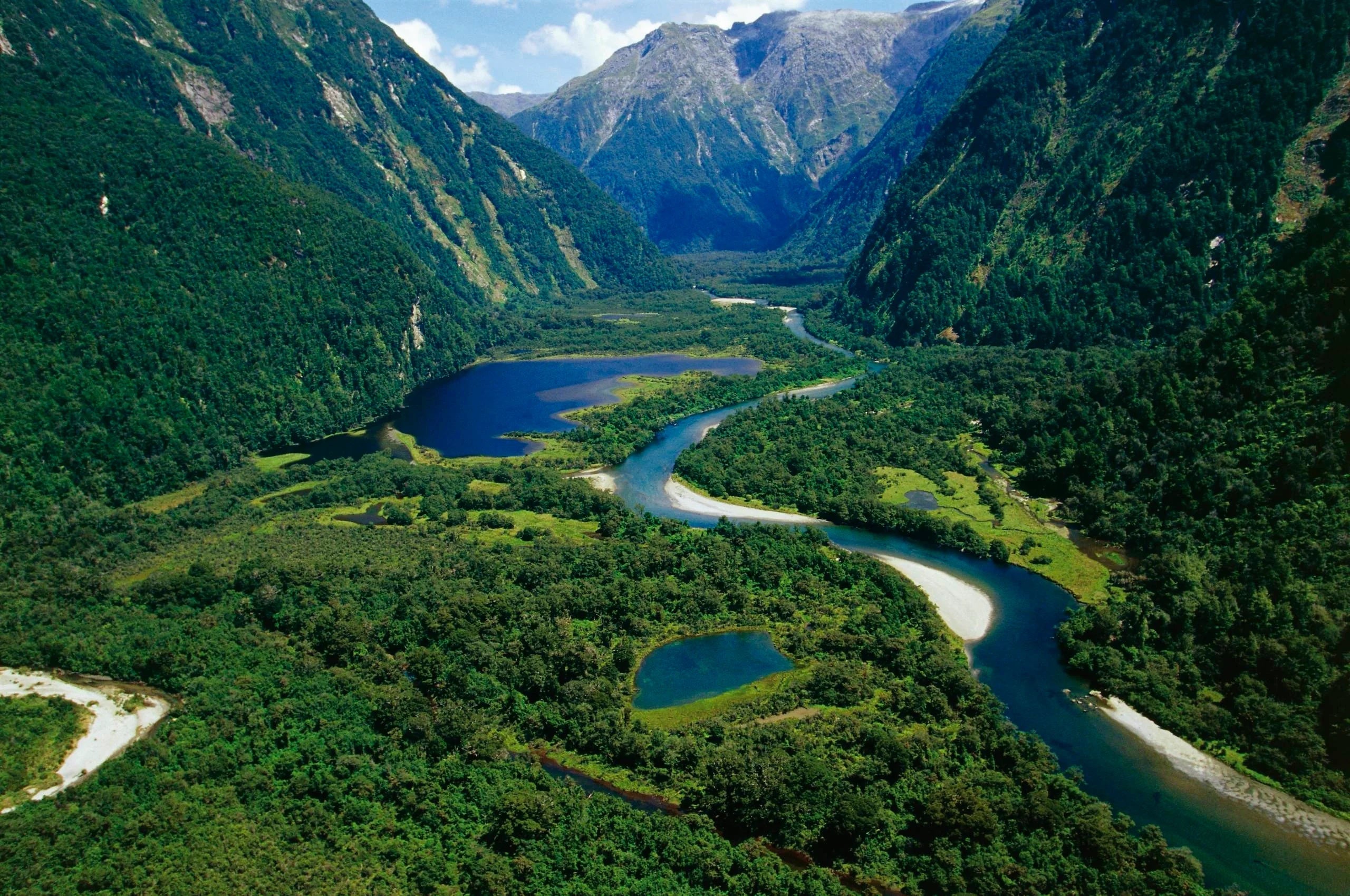 New Zealand landscape