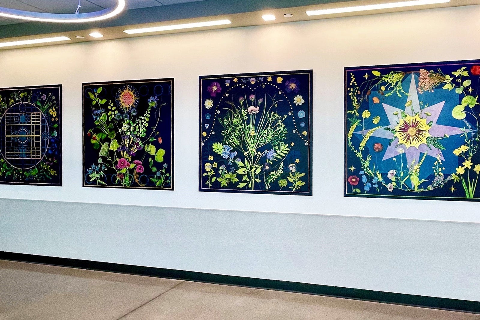 Art by Julia Whitney