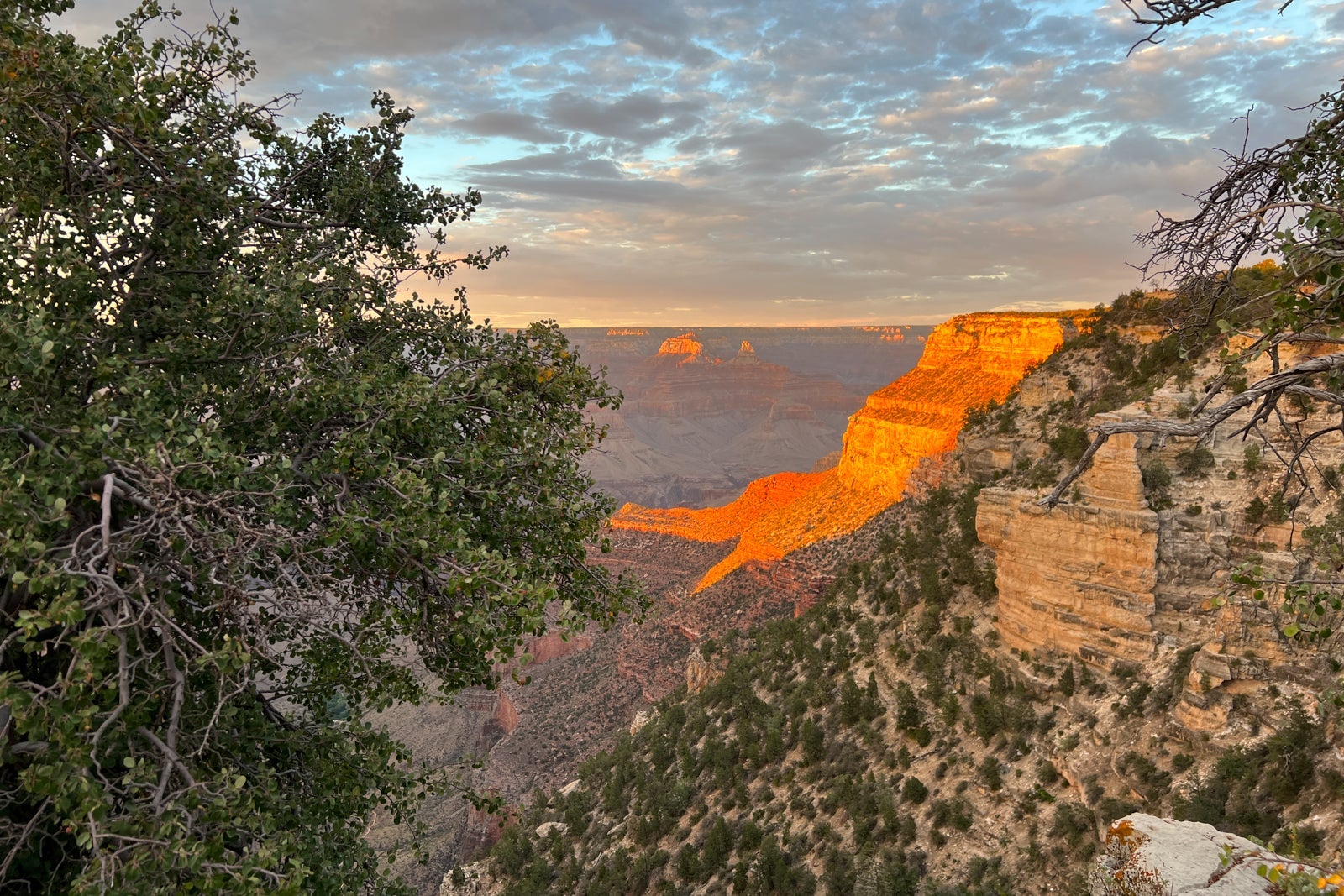 Grand Canyon