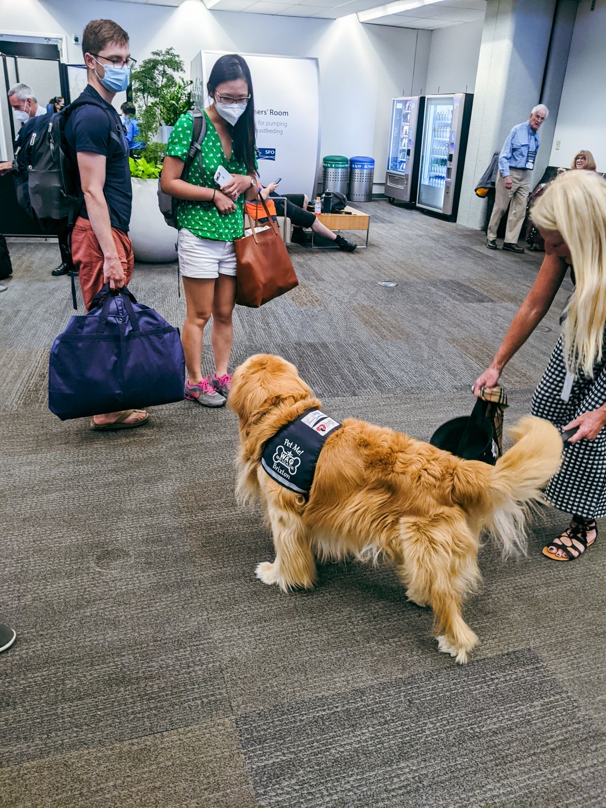 Wag Brigade SFO