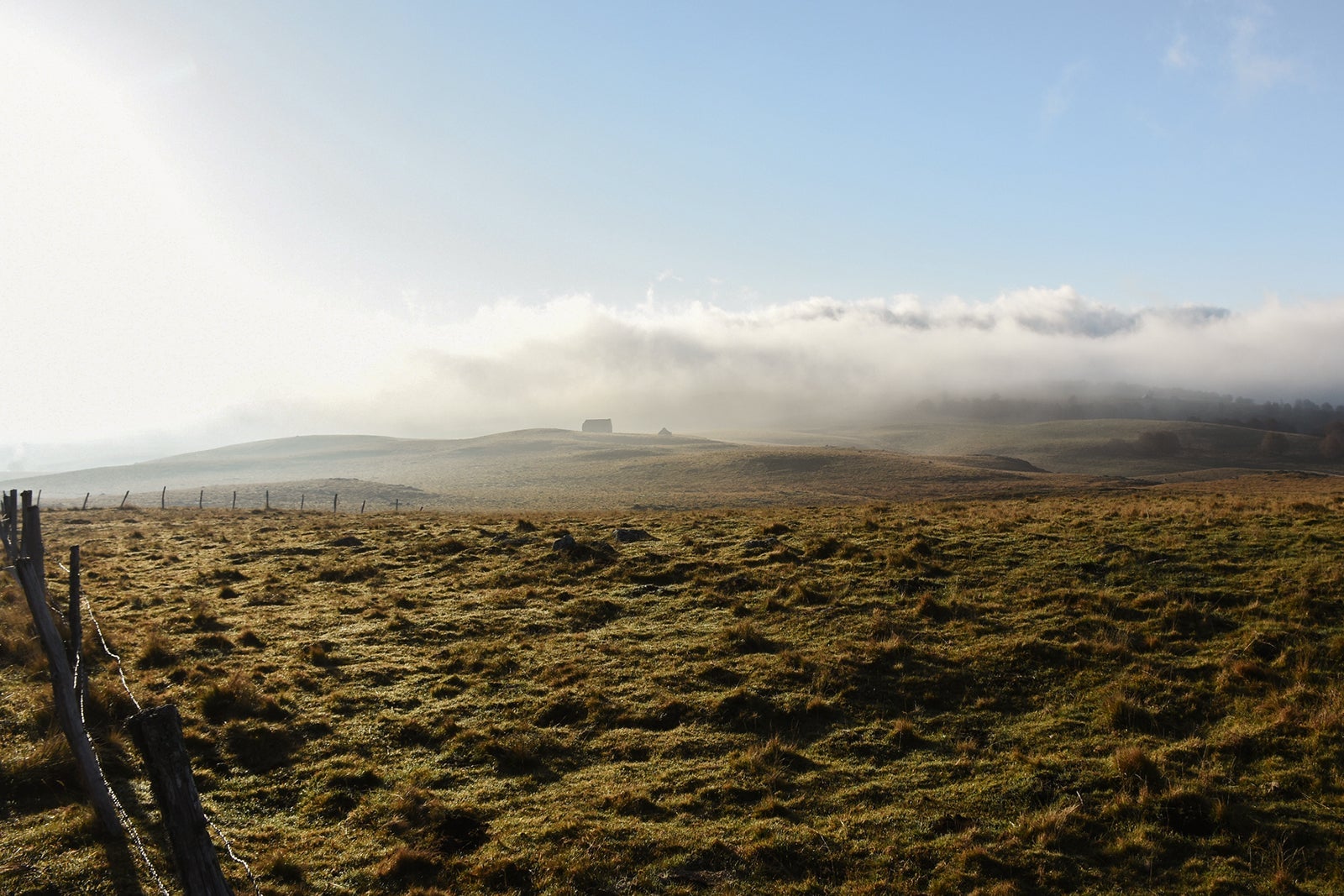 The misty meadows of Laguiole, France