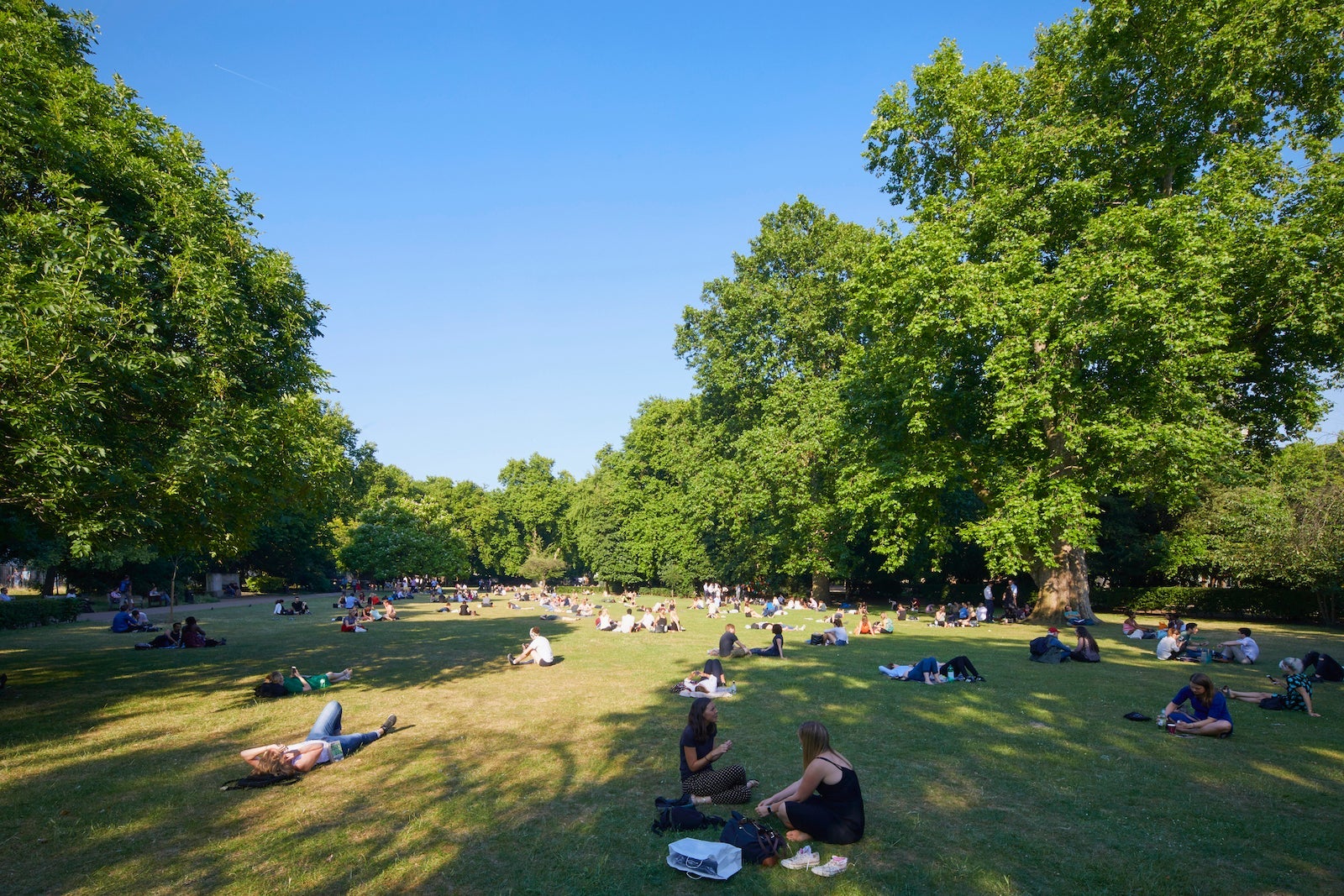 people in the park