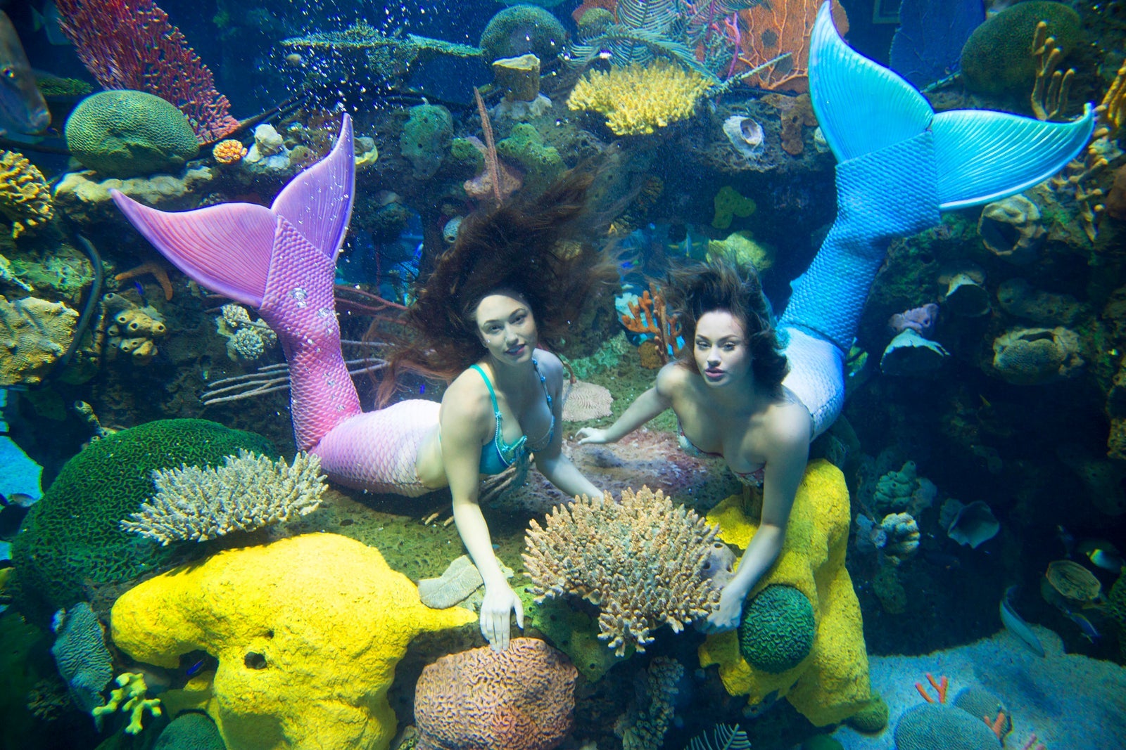Silverton Mermaids