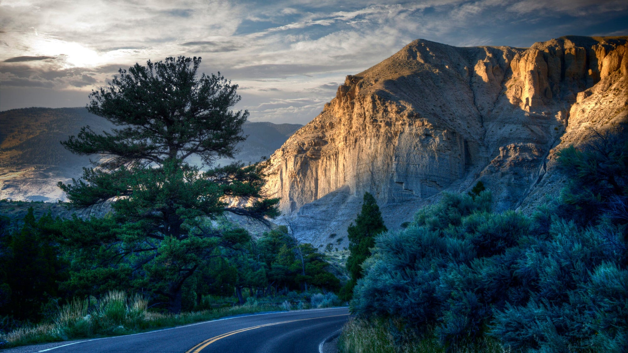 Curving Road in Yellowstone, Dusk