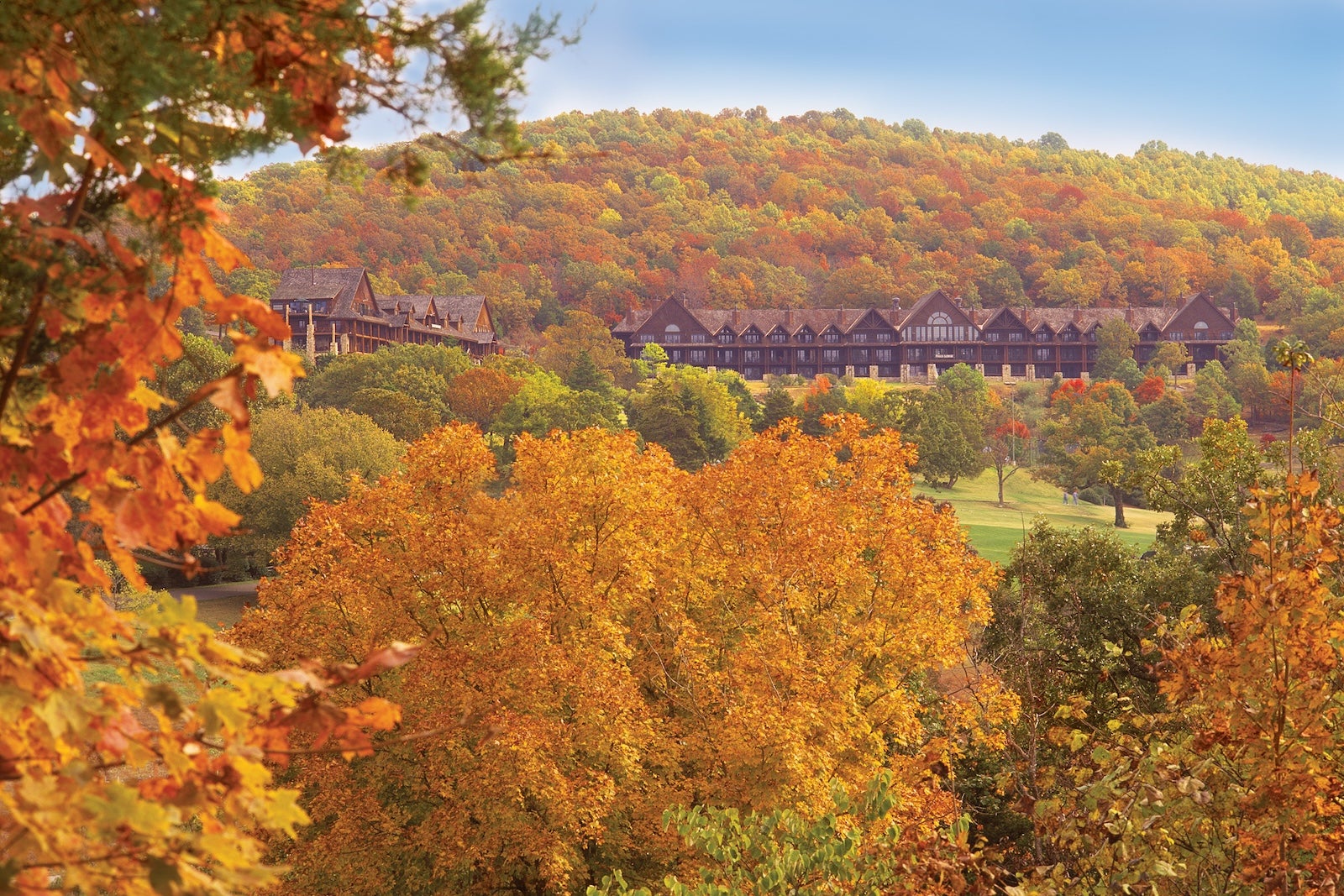 hotel with fall leaves in the background