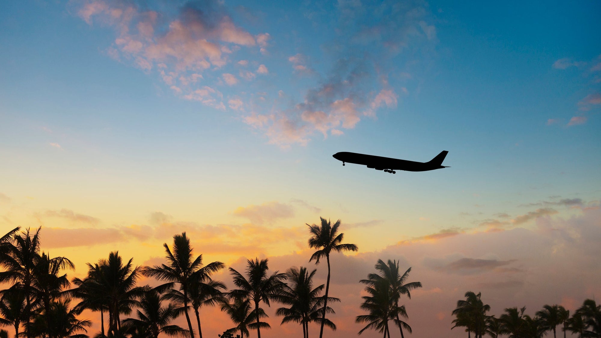 Silhouette of airplane flying over palm trees in sunset