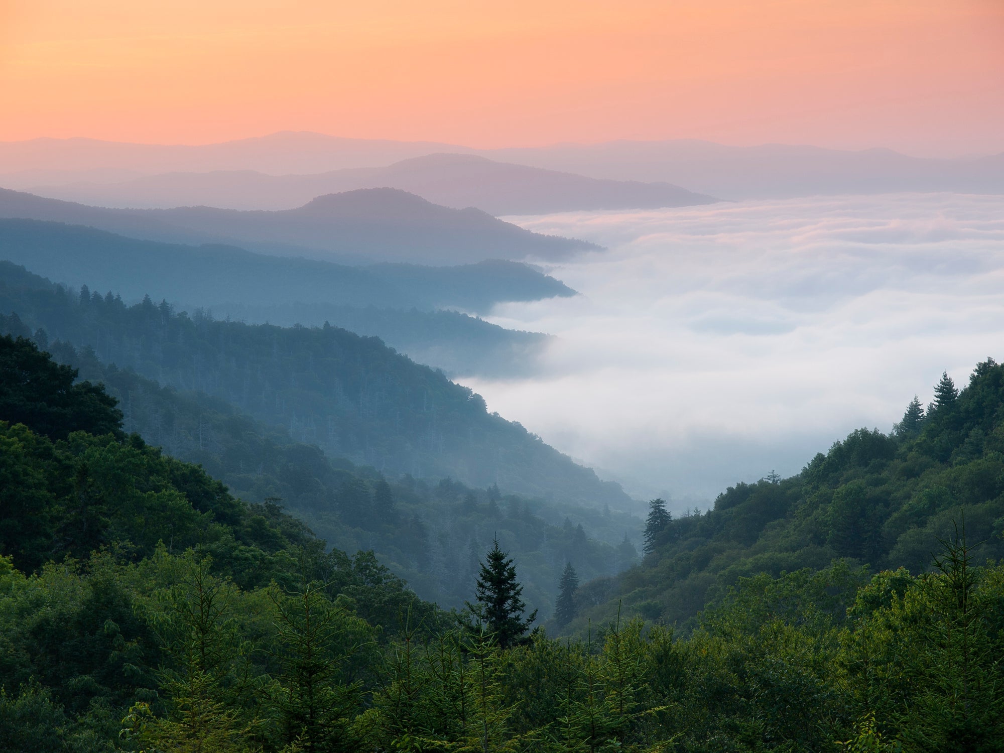 The Great Smoky Mountains covered in blue mist