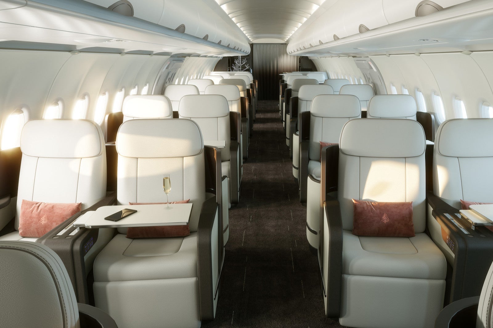 rows of seats on private plane