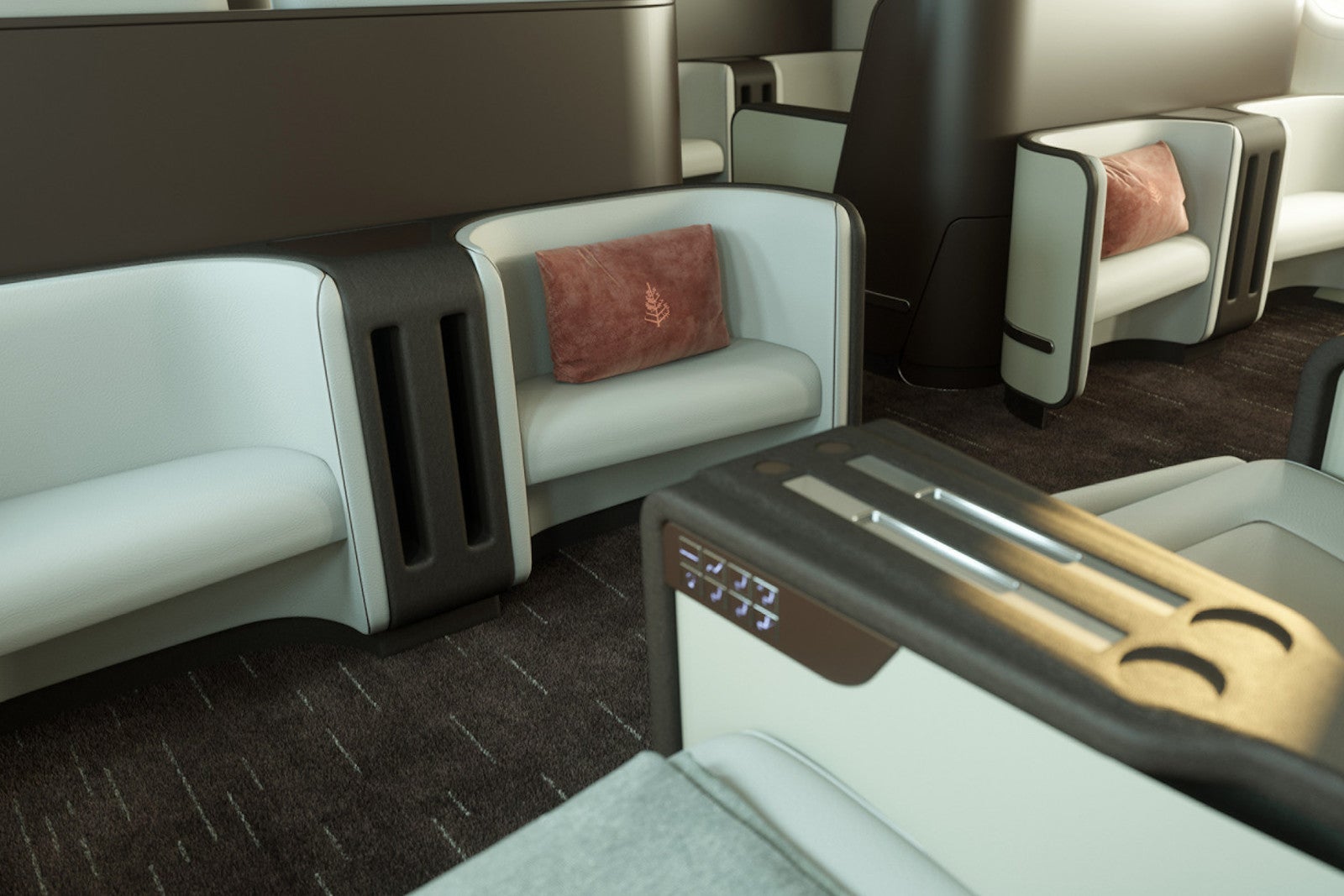 pink pillows with leaf logo on private plane foot rest