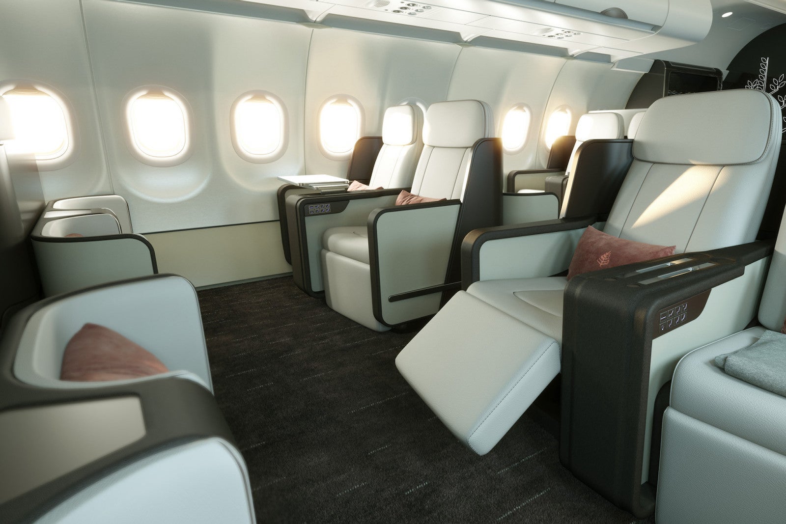 reclining airplane seats with foot rest on private jet