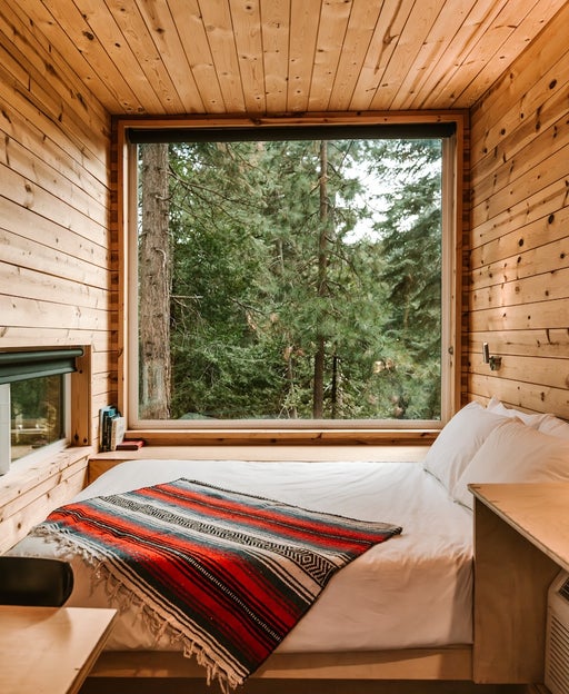 cabin with a view of the woods