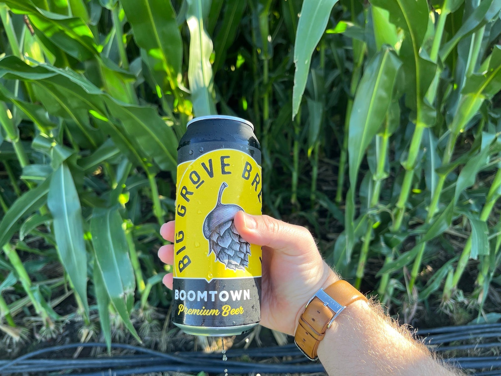 field of dreams game concession