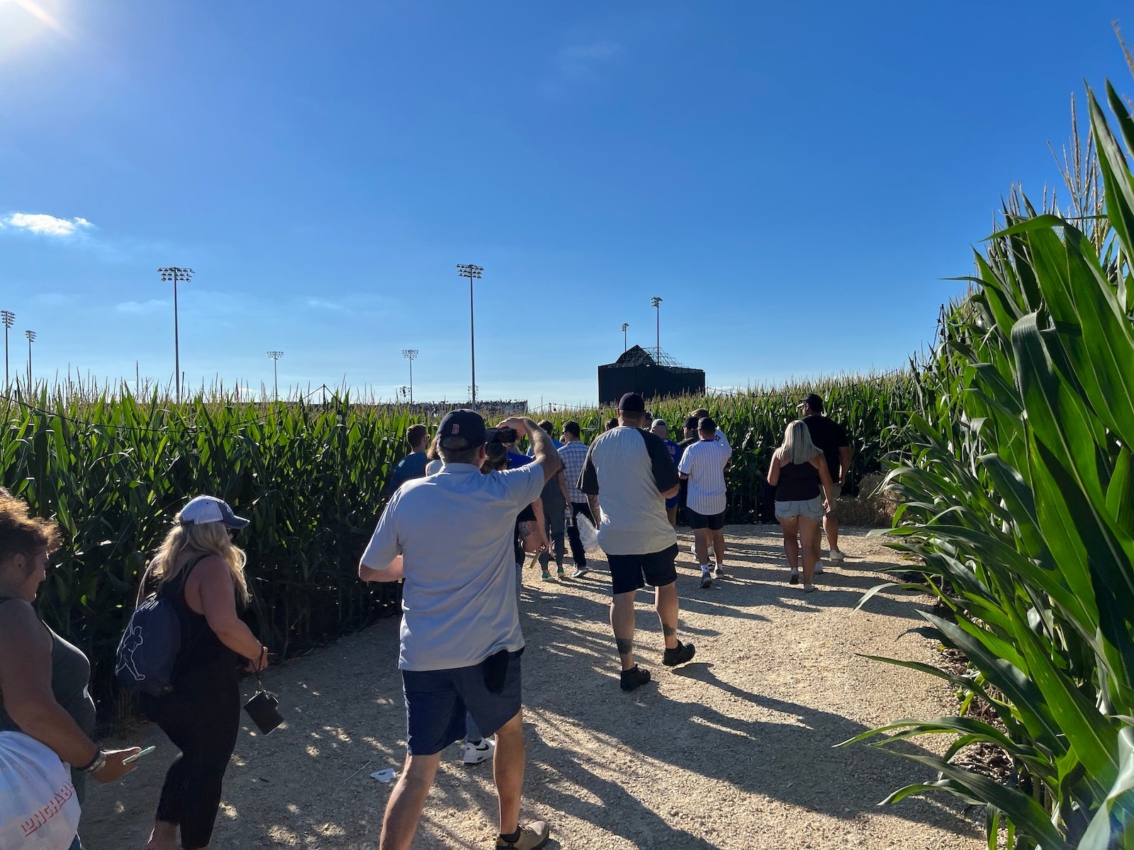 path through cornfield at the field of dreams