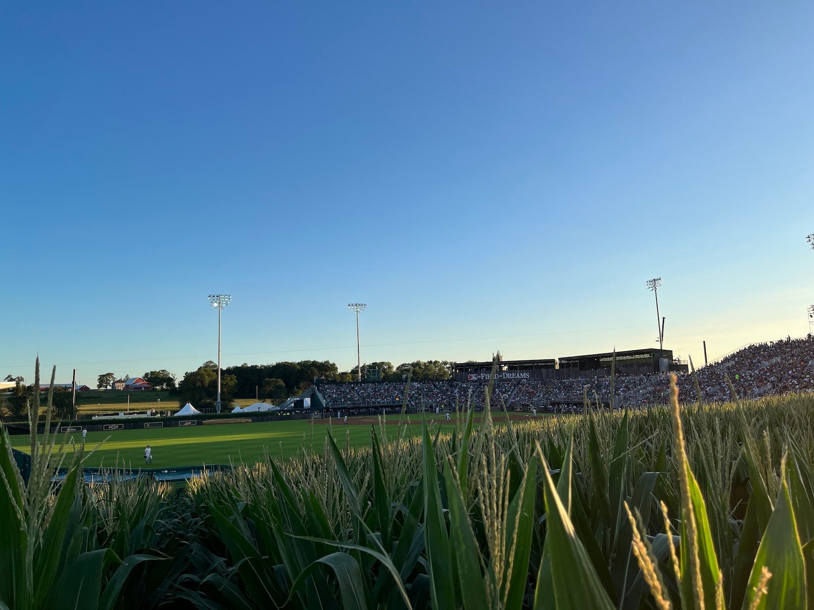 field of dreams park