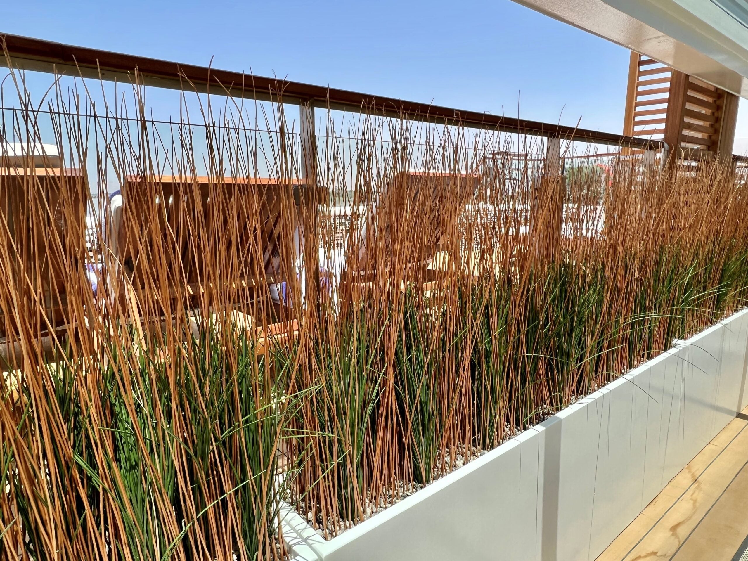 A wall of reeds on Viking Osiris