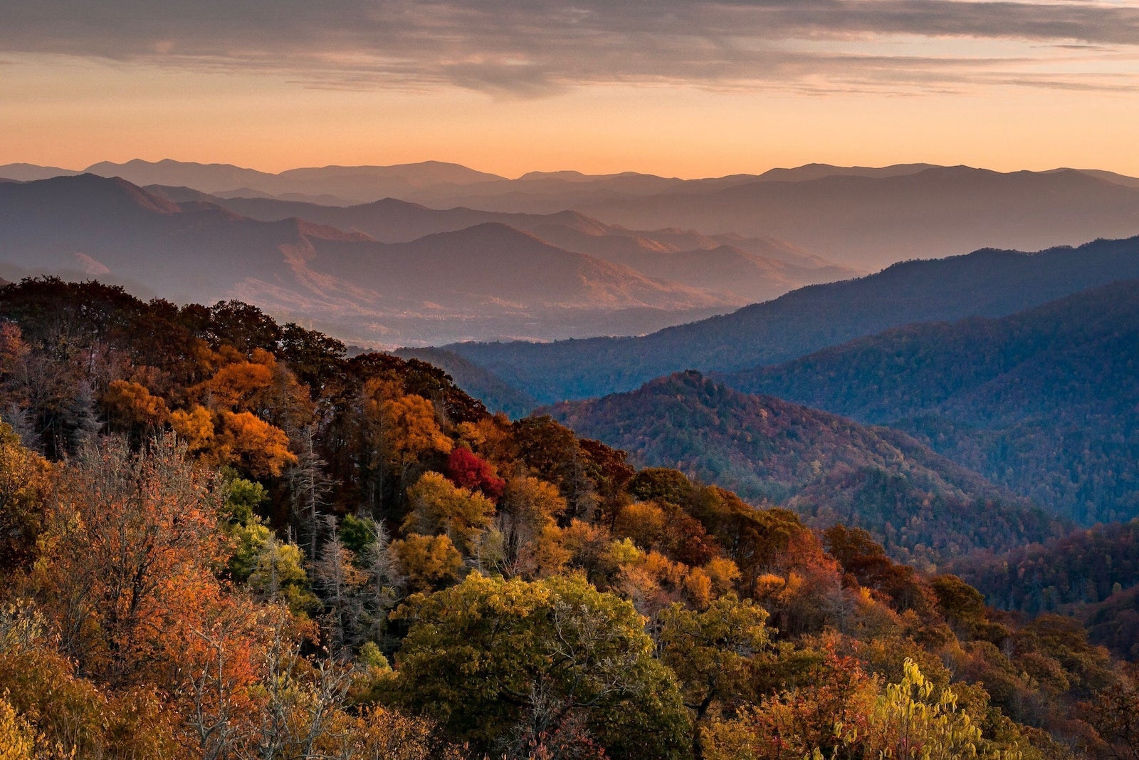 aerial view of fall leaves changing in mountain vista