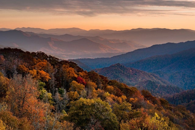 aerial view of fall leaves changing in mountain vista