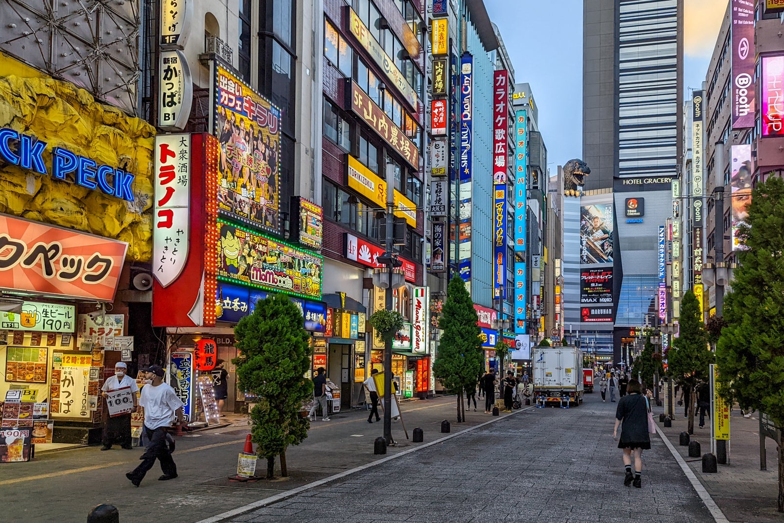 Street in Japan