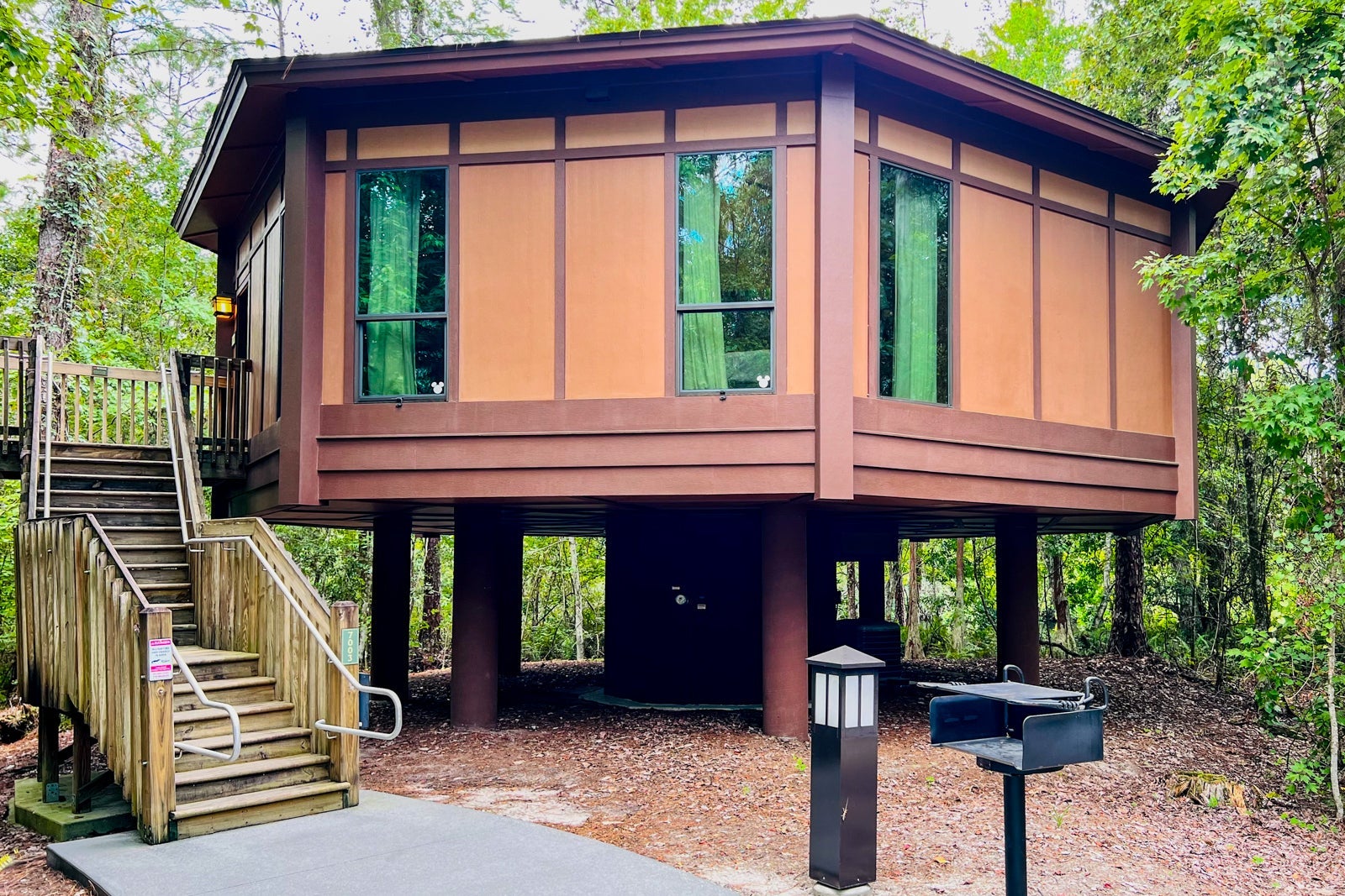 Disney Treehouse Villas