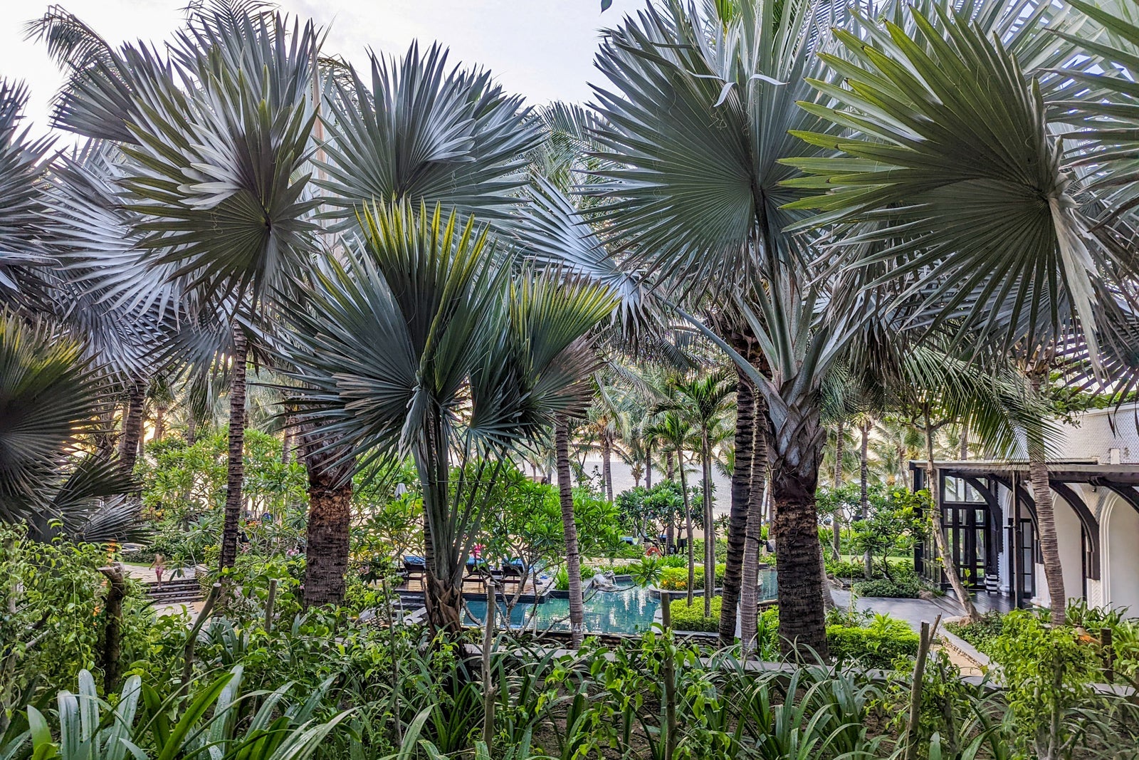 InterContinental Danang family pool